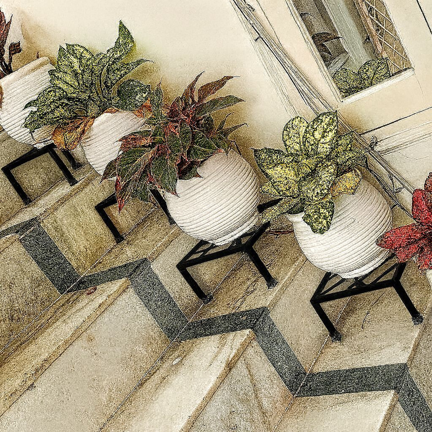 Image of craftydecor's Special Made Flower Pot Gamala Stand For Home Balcony Garden Office Plant Container Set