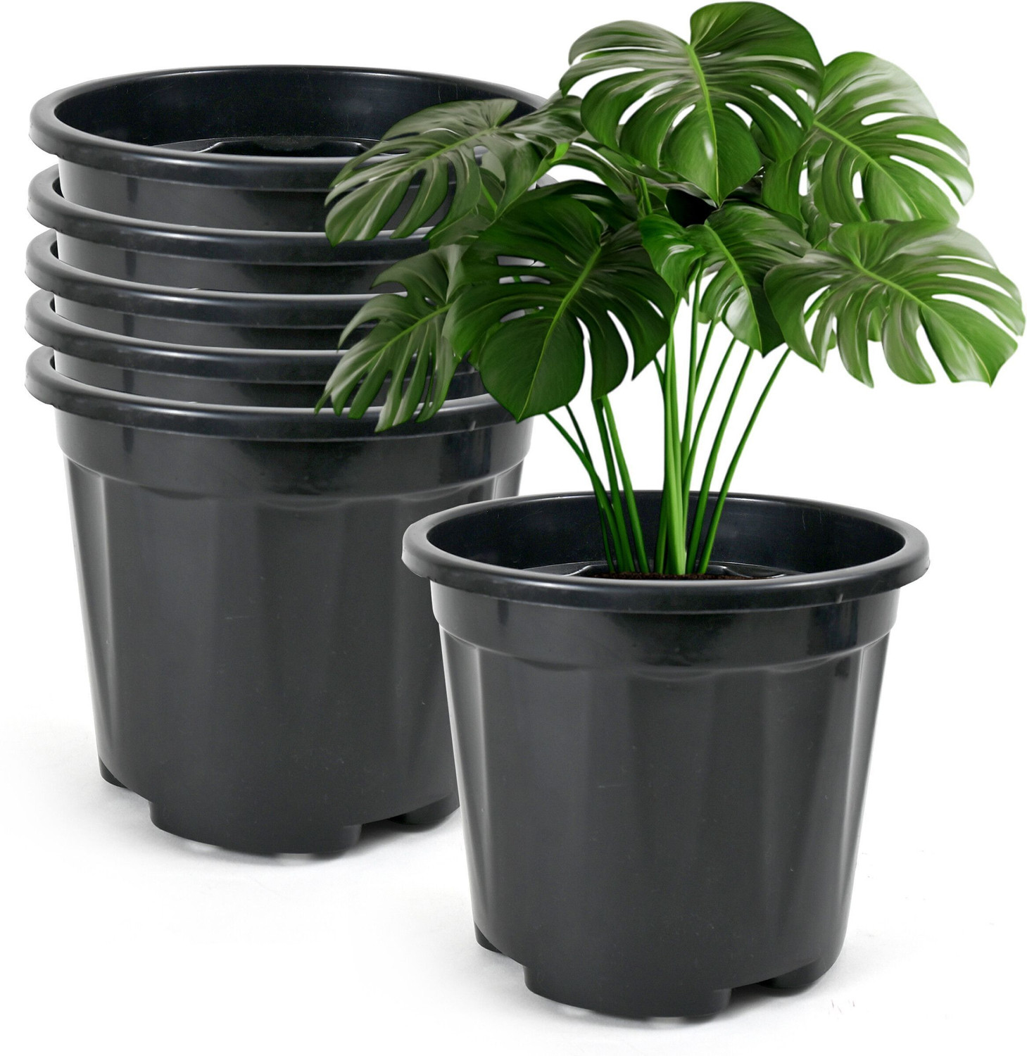 Image of YK PLASTICS 8 inch dia-np-black /6pcs, Nursery seedling pot for gardening Plant Container Set