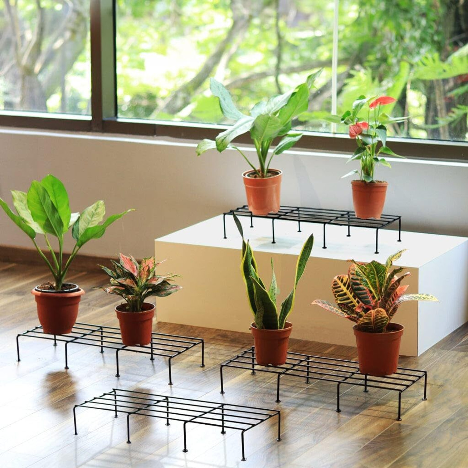 Image of ZH HANDICRAFT Premium Rectangular Anti-Rust Plant Stand For Indoor, Outdoor and Balcony Use Plant Container Set (Pack of 4, Metal)