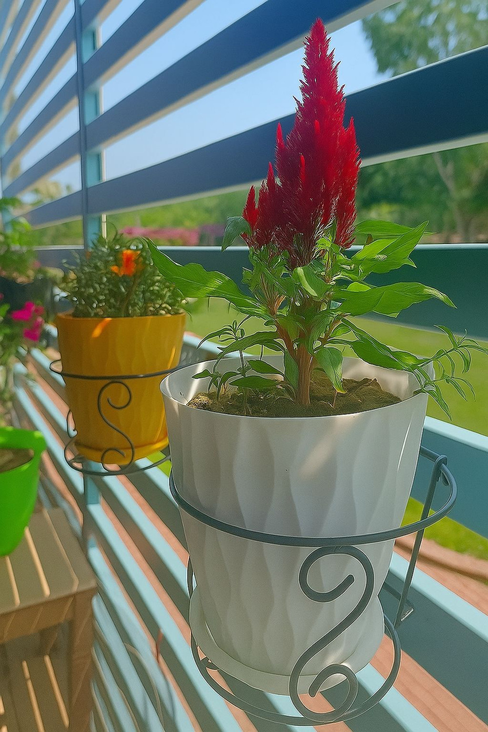 Image of NEW GULSHAN HANDICRAFTS Hanging plant stand for living room, plant stand for balcony Plant Container Set