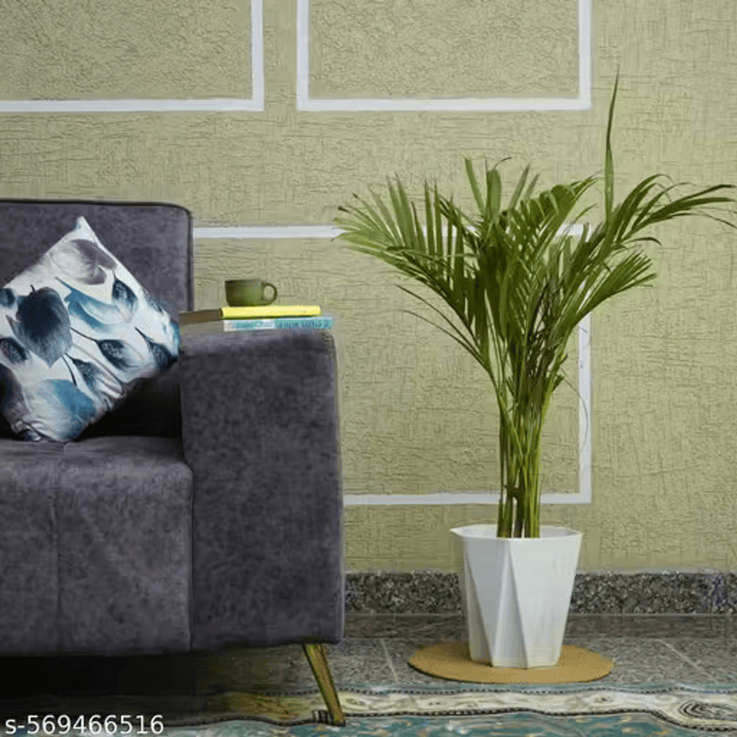 Image of Mrida and Maati Star Pot 10 Inch Cream Colour Pack | Set of 5 Premium Planters Plant Container Set