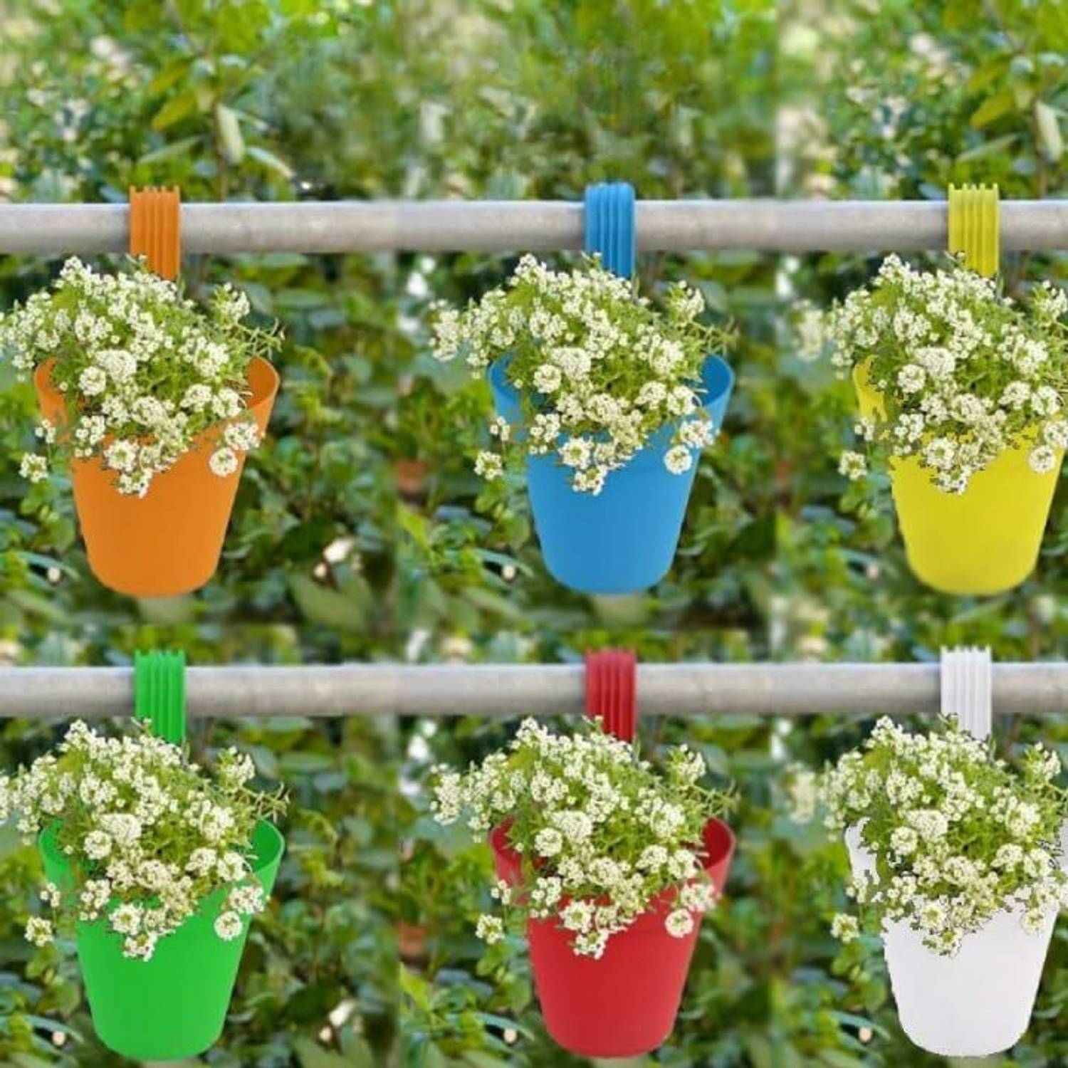 valacia Plastic Hanging Planters 10 Pcs Multicolor Pots for Hom