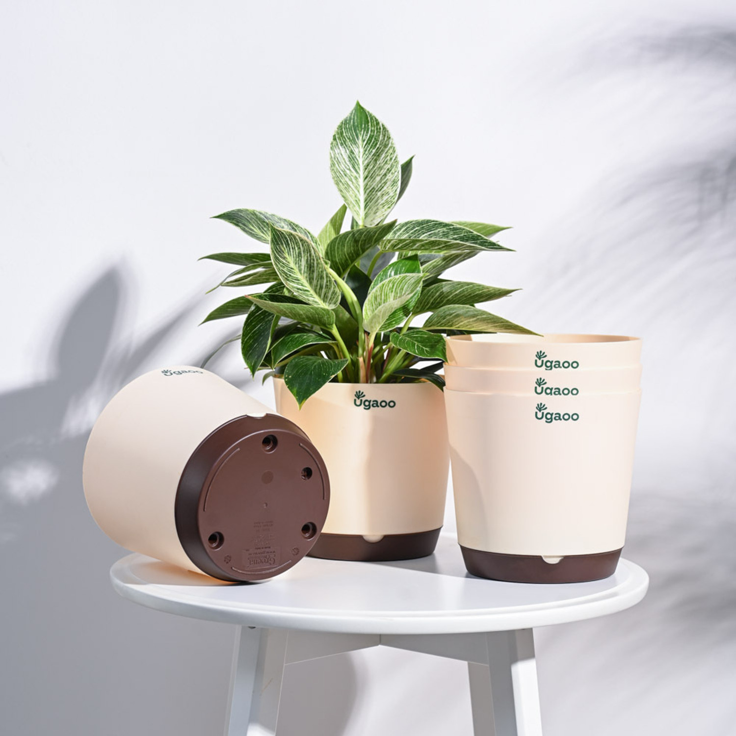 Image of UGAOO Krish Ivory Self Watering Pot - 7.5 Inch, Round, Set of 5 Plant Container Set