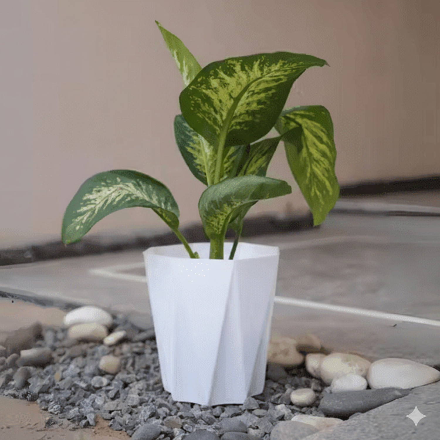Image of Mrida and Maati Star Pot 10 Inch Cream Colour Pack | Set of 5 Premium Planters Plant Container Set