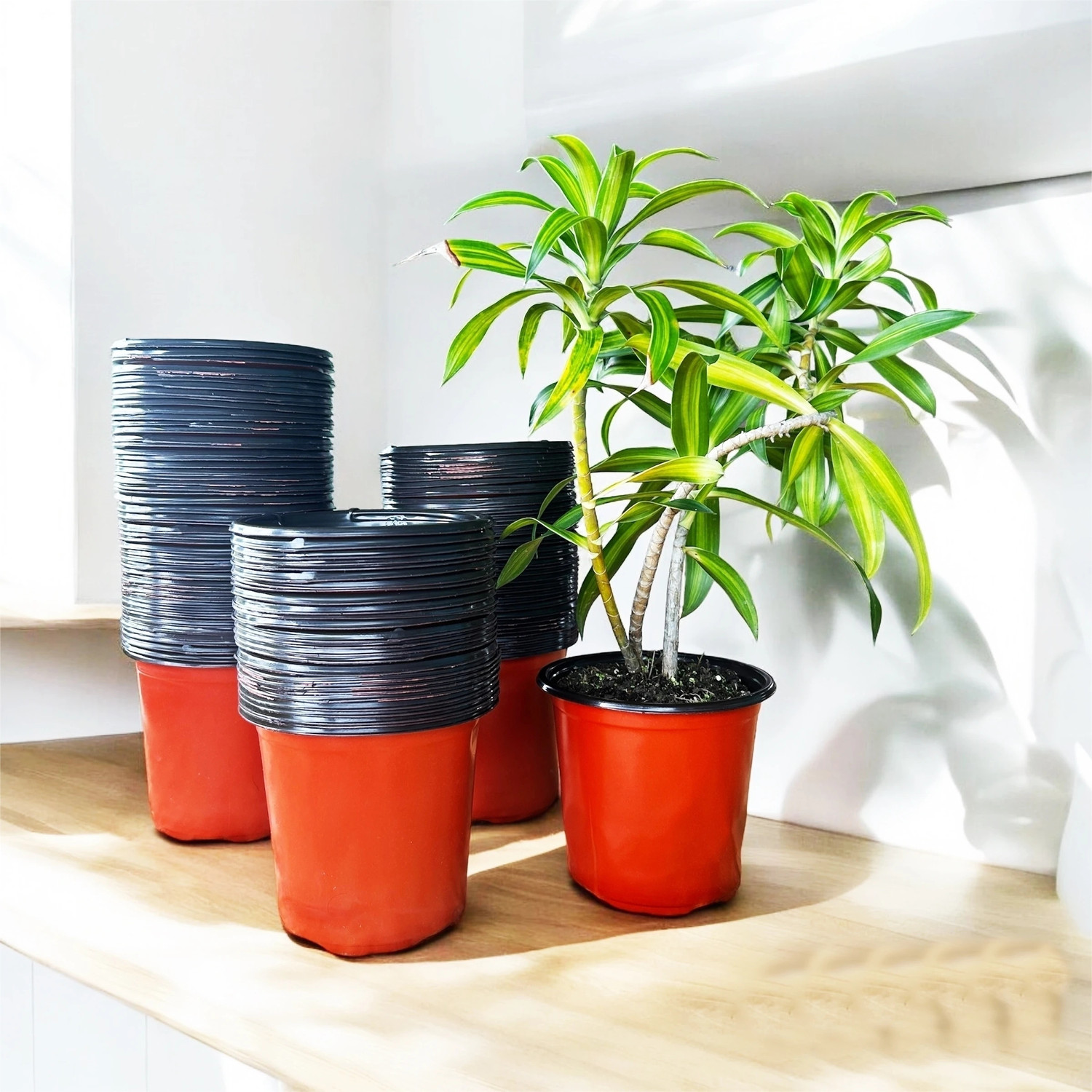 Image of SaplingsWorld Thermo Plastic Flower Pot | 5 inch size | Plant Container Set
