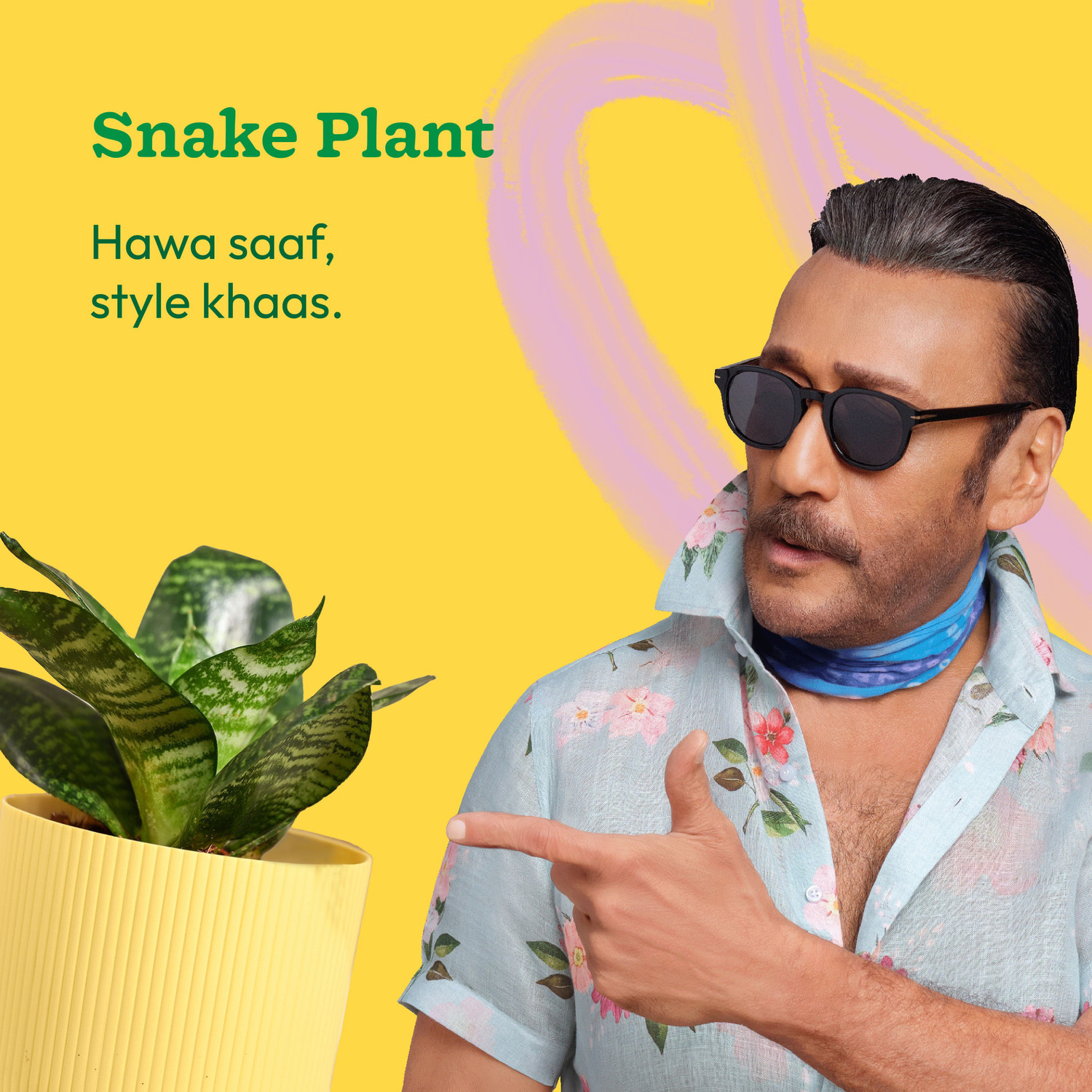 Image of UGAOO Snake Plant