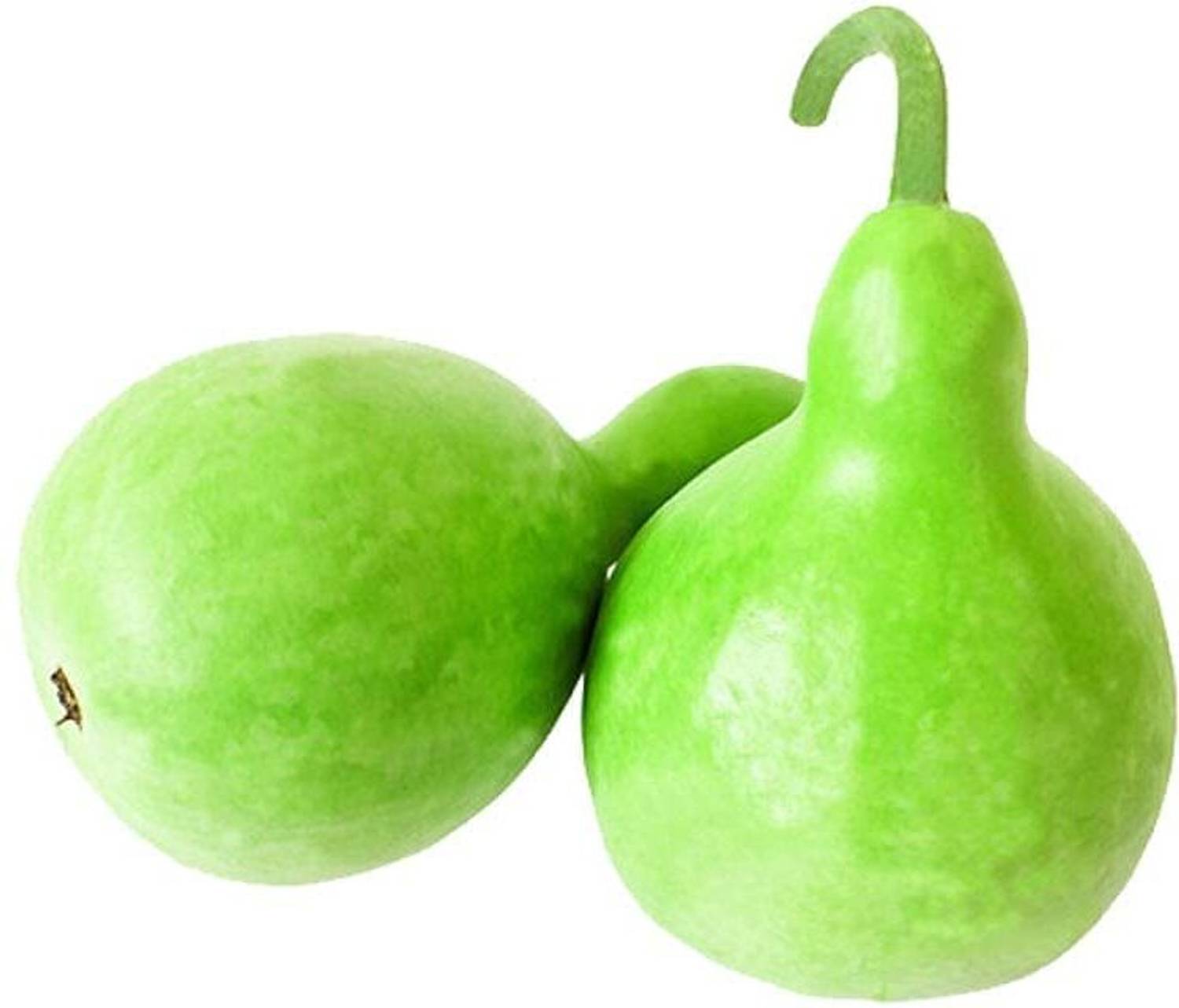 ARIAANAM Bottle Gourd Round Seed