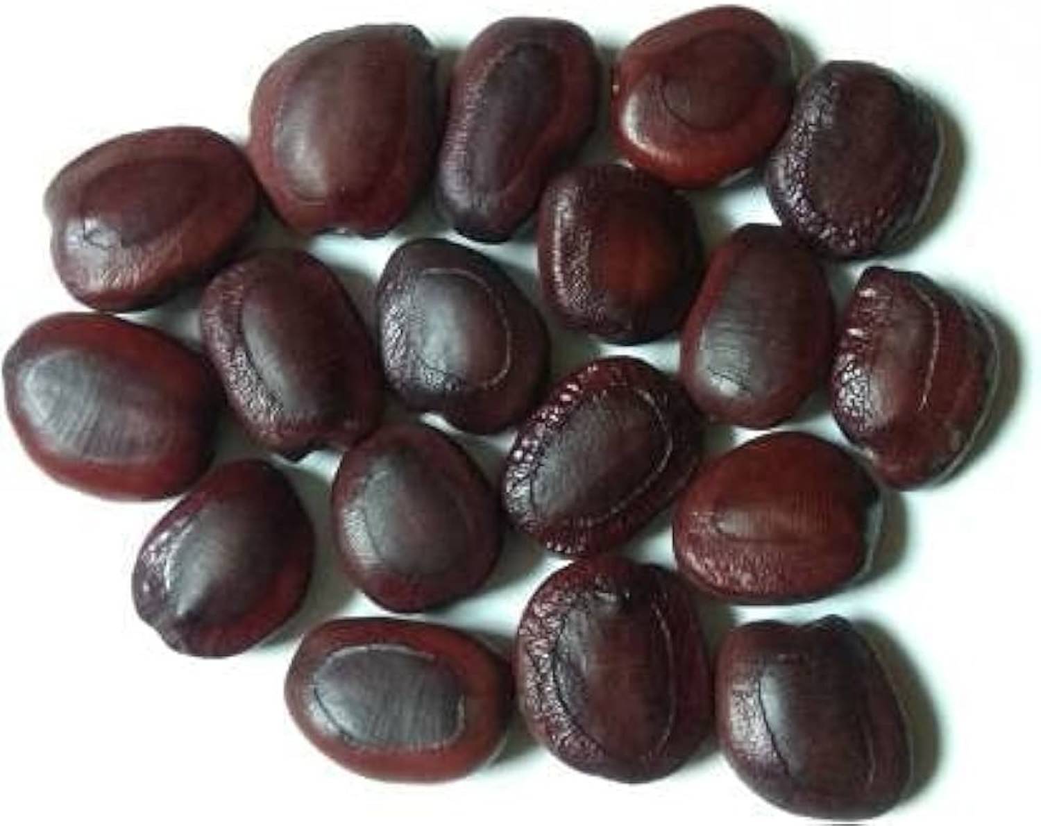 Shiv-Shakti Group Imli, Tamarind, Tentul, Mange, Puli, Chinta