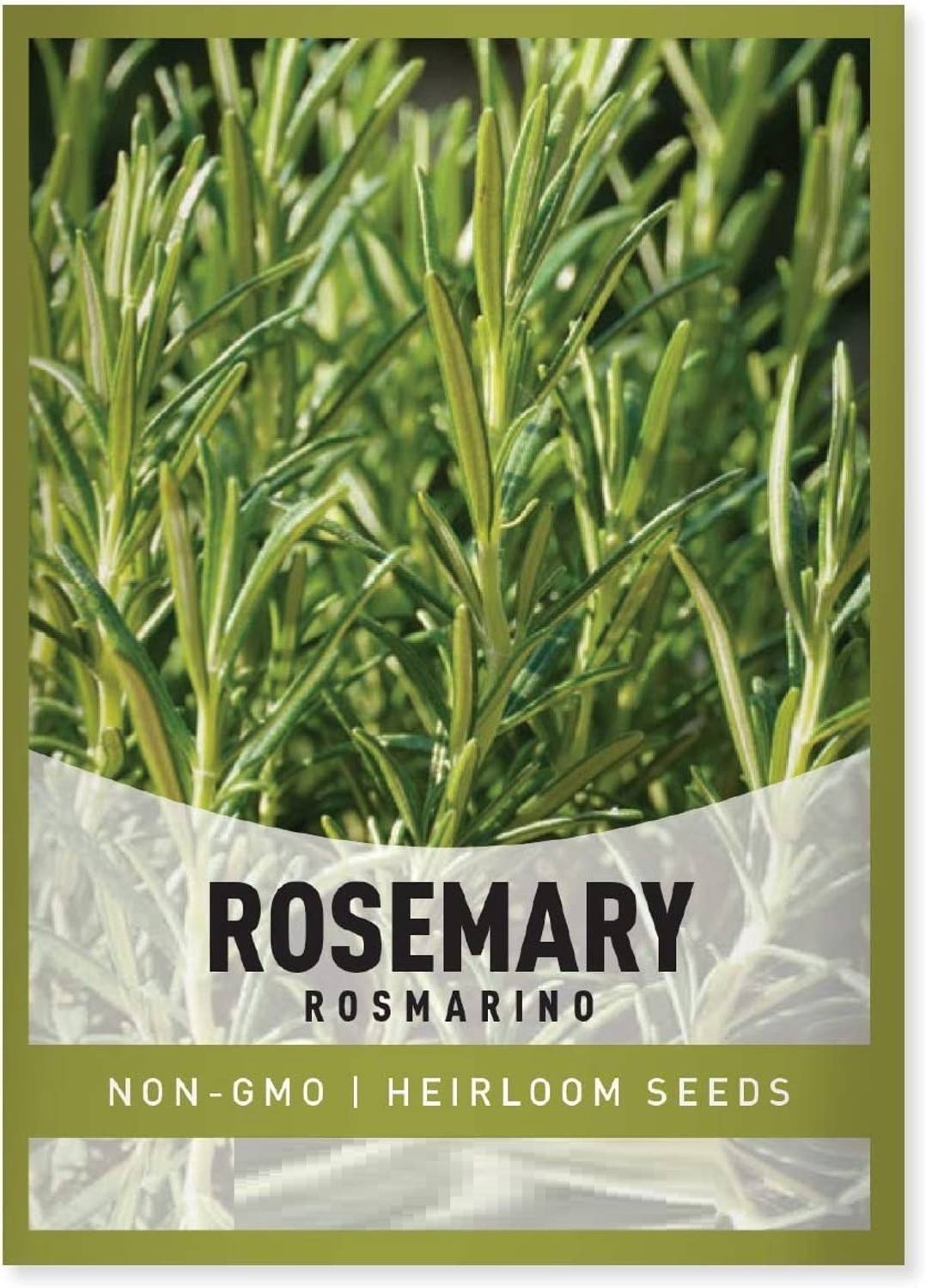 Qualtivate LXI-118 Rosemary Seeds (Rosmarinus officinalis) Seed