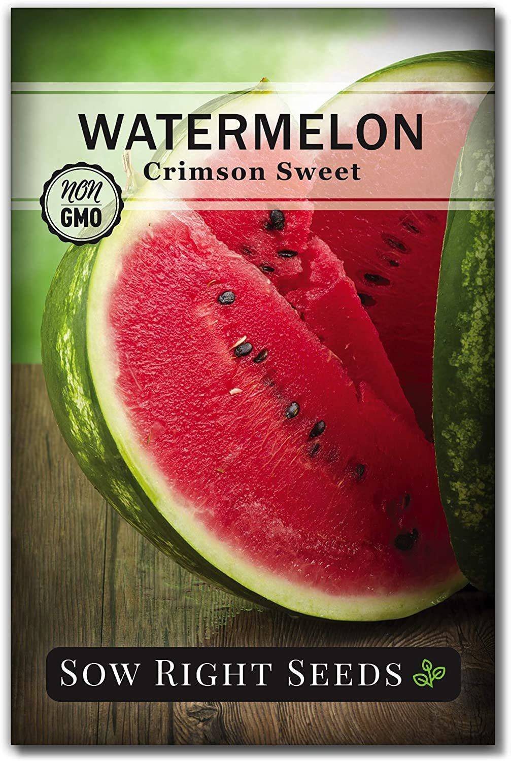 CYBEXIS PAU-11 - Crimson Sweet Watermelon - (150 Seeds) Seed Price