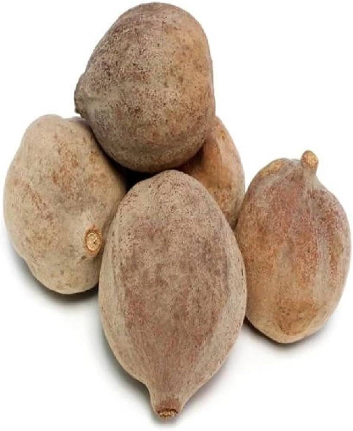 AnnieHerbs Baheda fruit, Tanikaya, Bahera, Bibhitaki Sabut, Beleric for Eating, Hair Growth Seed