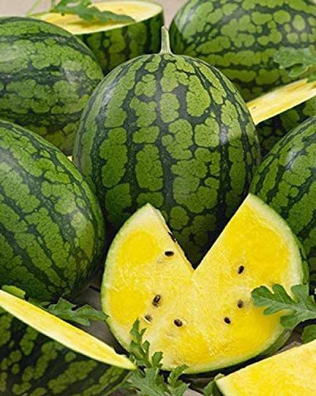 100-hua-252-watermelon-fruit-