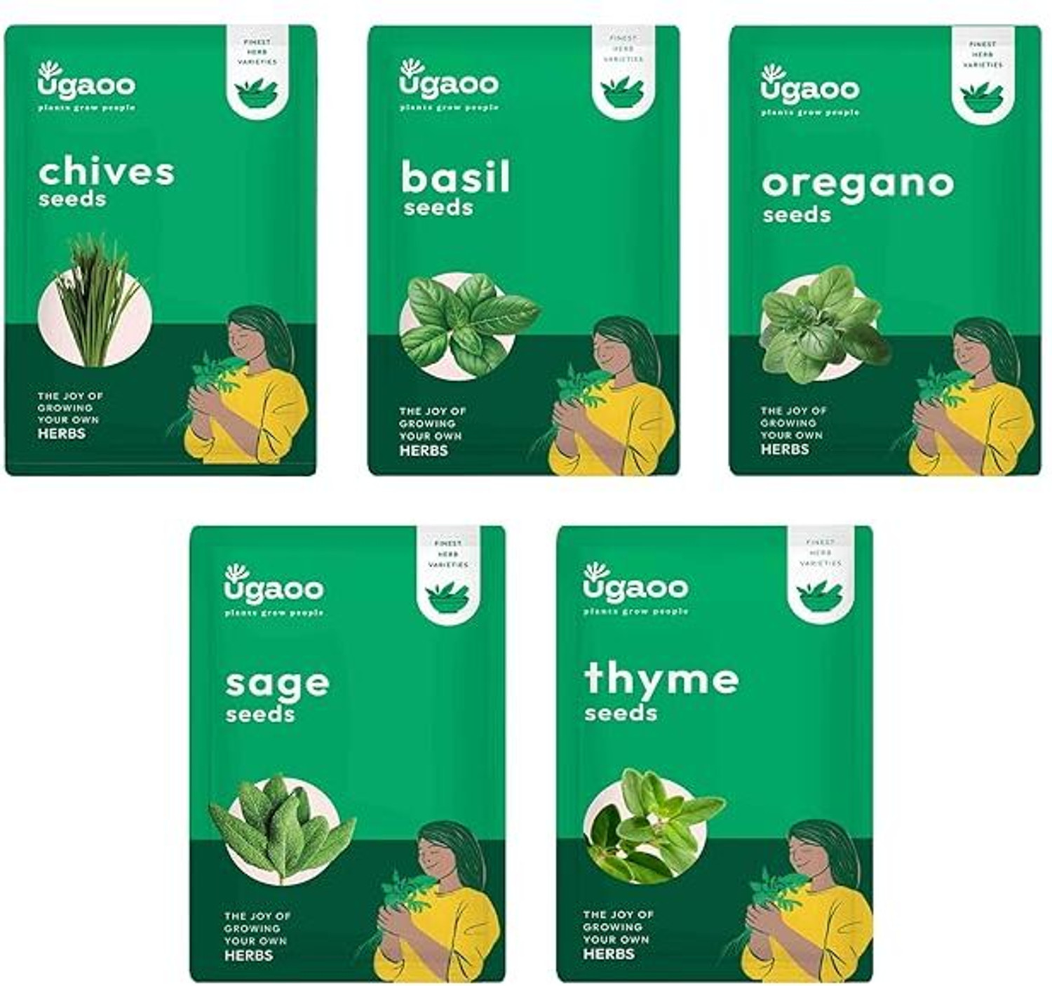 Image of UGAOO Herb Seeds Bundle (Sage, Chives, Italian Basil, Oregano, Thyme Seeds) Seed