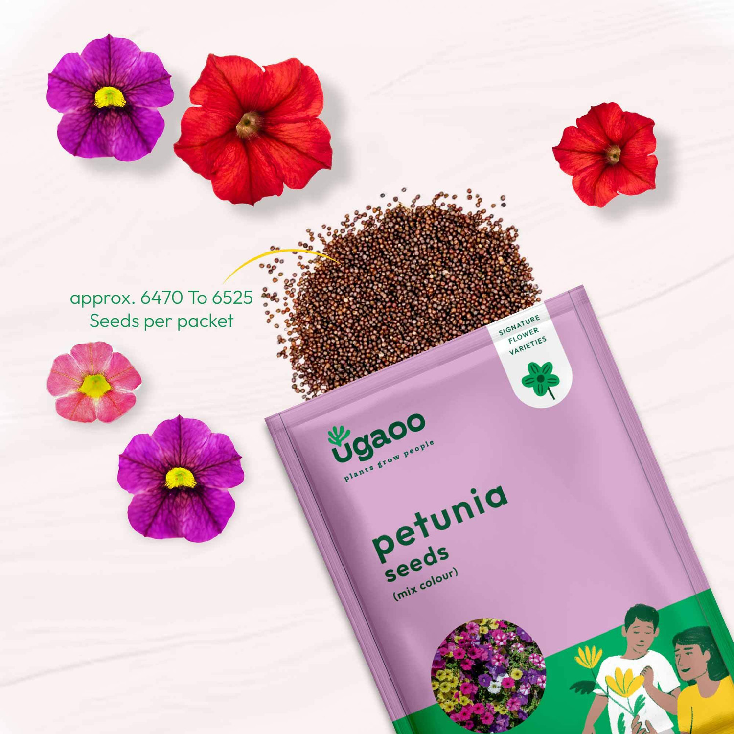 Image of UGAOO Petunia Mix Flower Seeds Seed