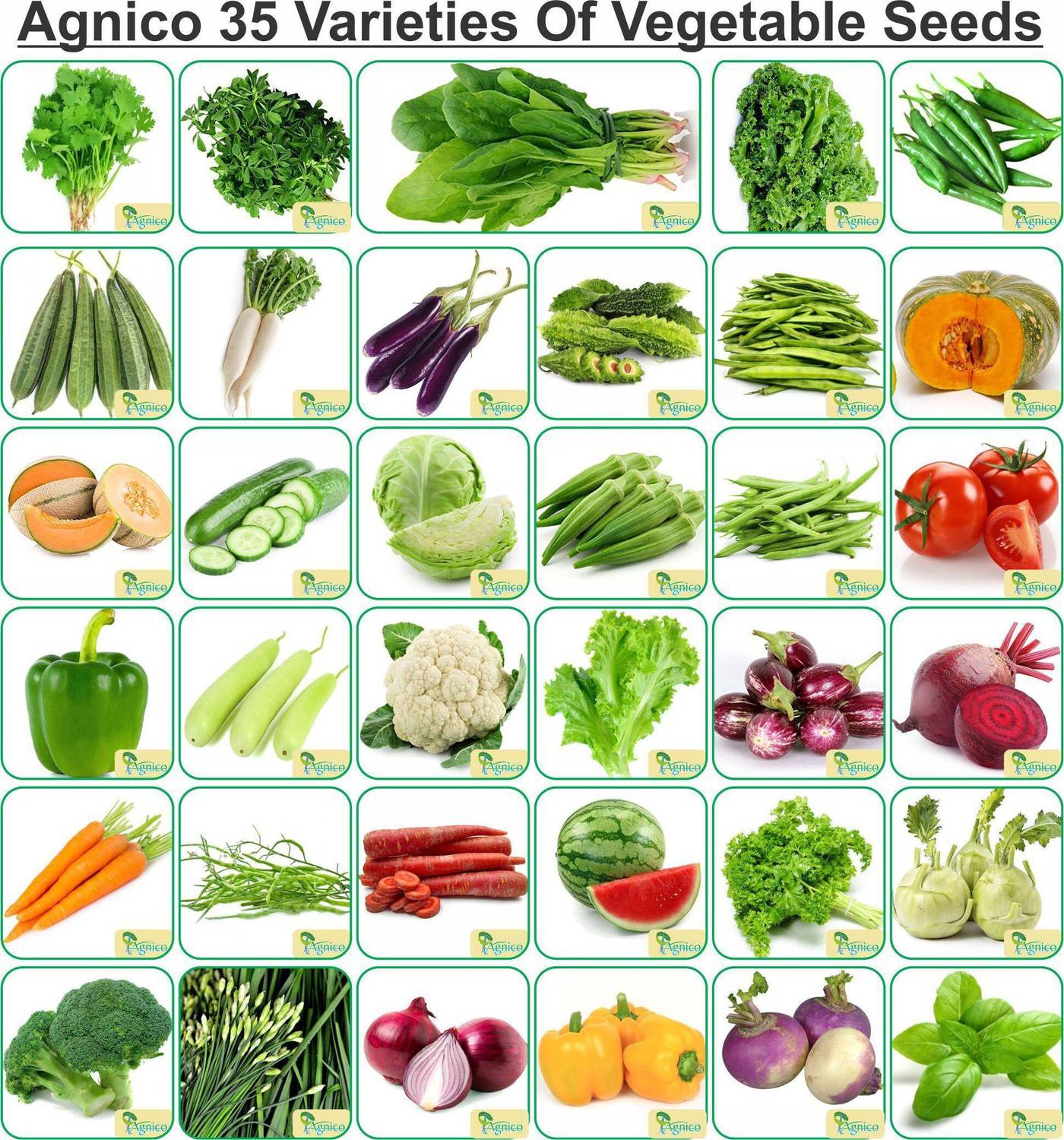Agnico Agnico 35 Varieties of Vegetable Seeds 2100+ Germination Seeds For Your Garden With Instruction Manual Seed
