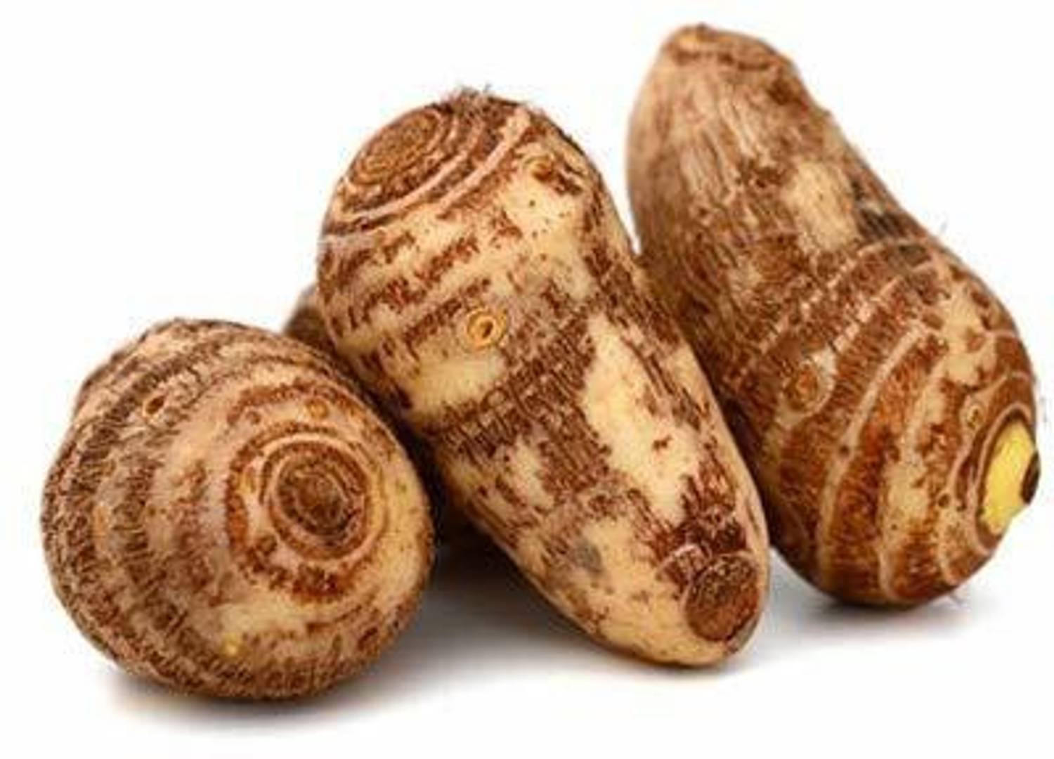 たらば 3-taro-root-arbi-dasheen-