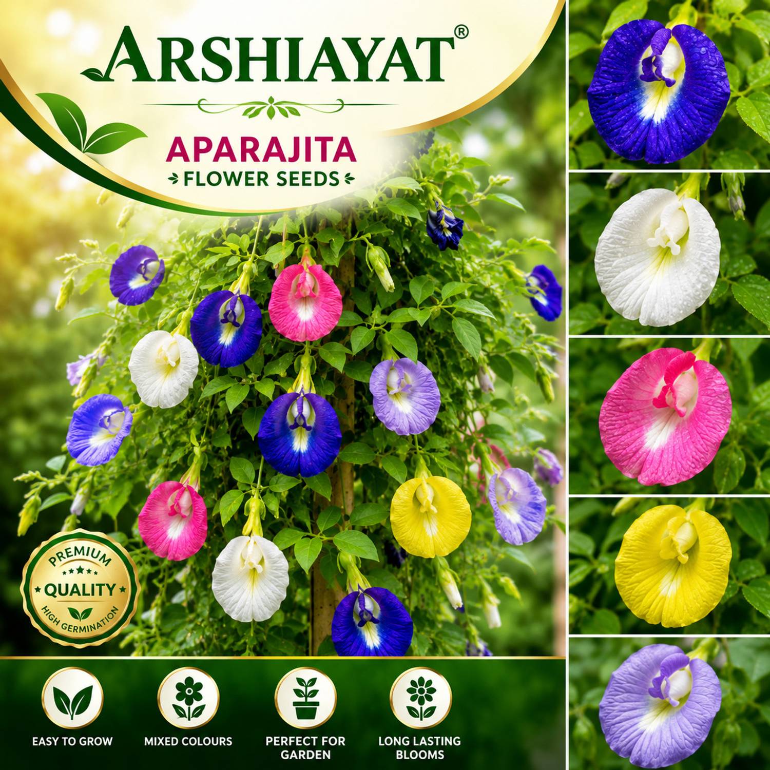 Arshiayat Aparajita seeds 20 Seed