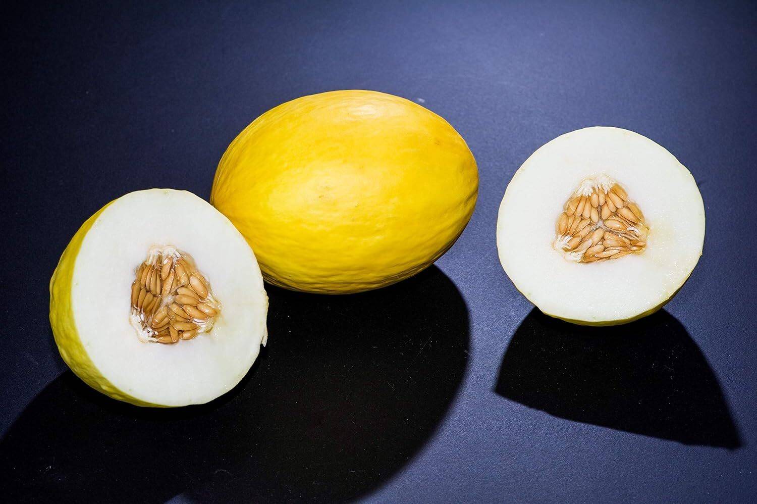メロン様 Qualtivate XXX-9A Brilliant Yellow - Yellow Melon Seed Price in