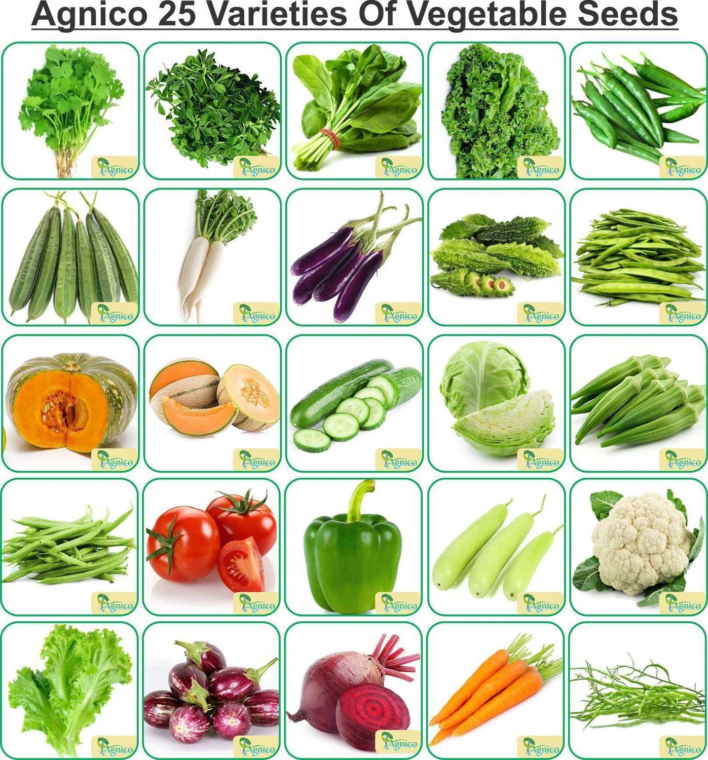 Agnico Agnico 25 Varieties of Vegetable Seeds Seed