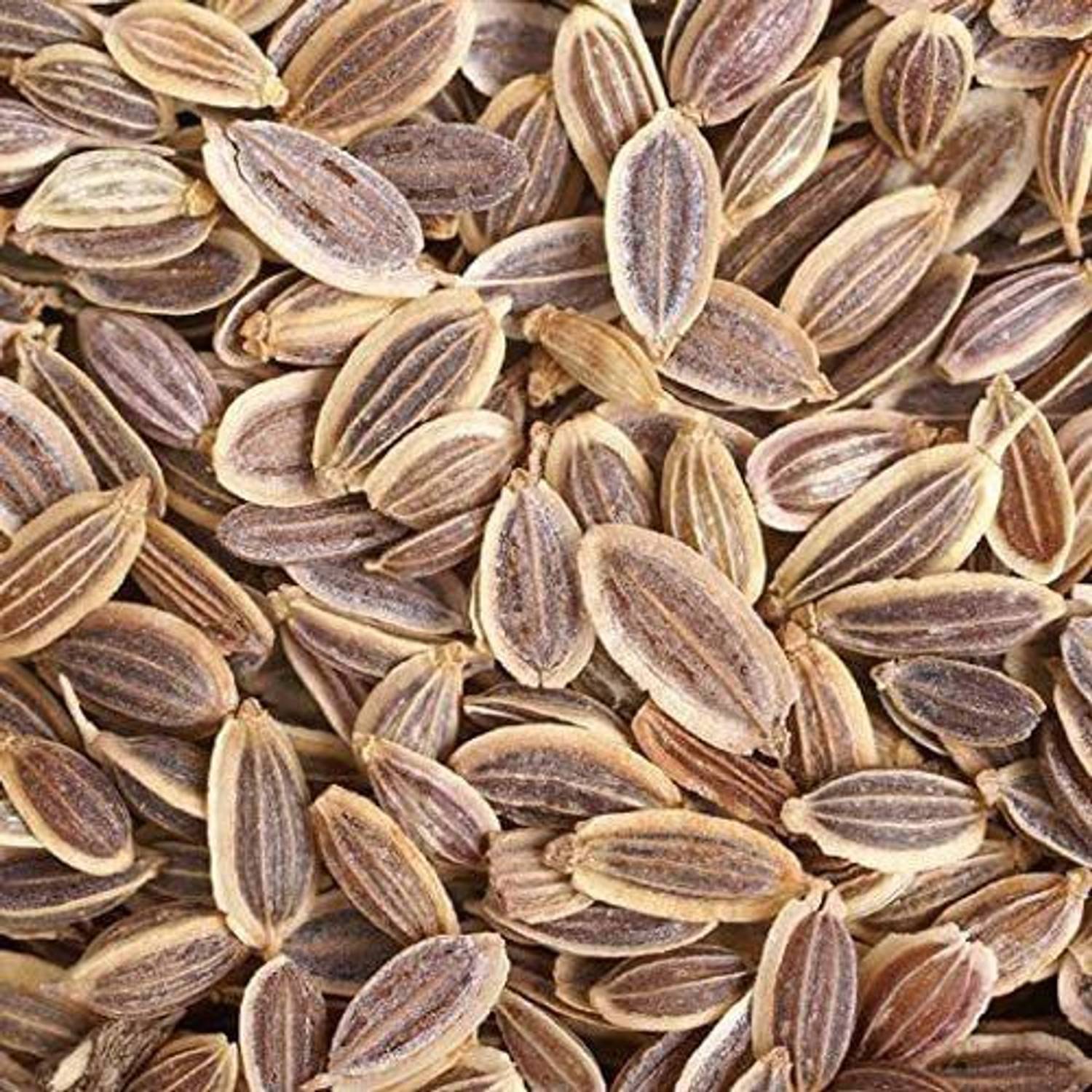 500-xxl-170-dill-bouquet-seeds