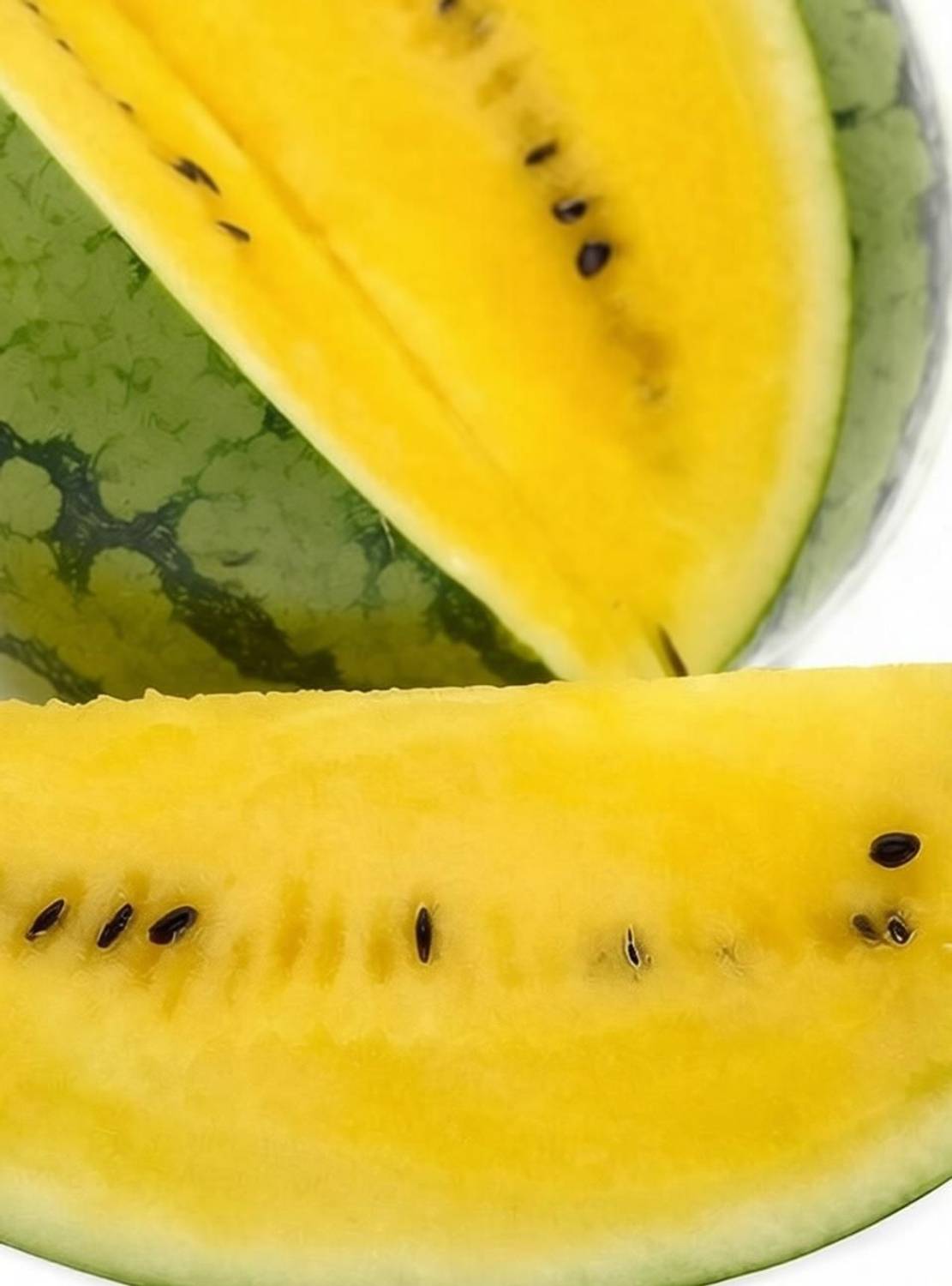 CYBEXIS ATS-33 - Yellow Watermelon - (150 Seeds) Seed Price in