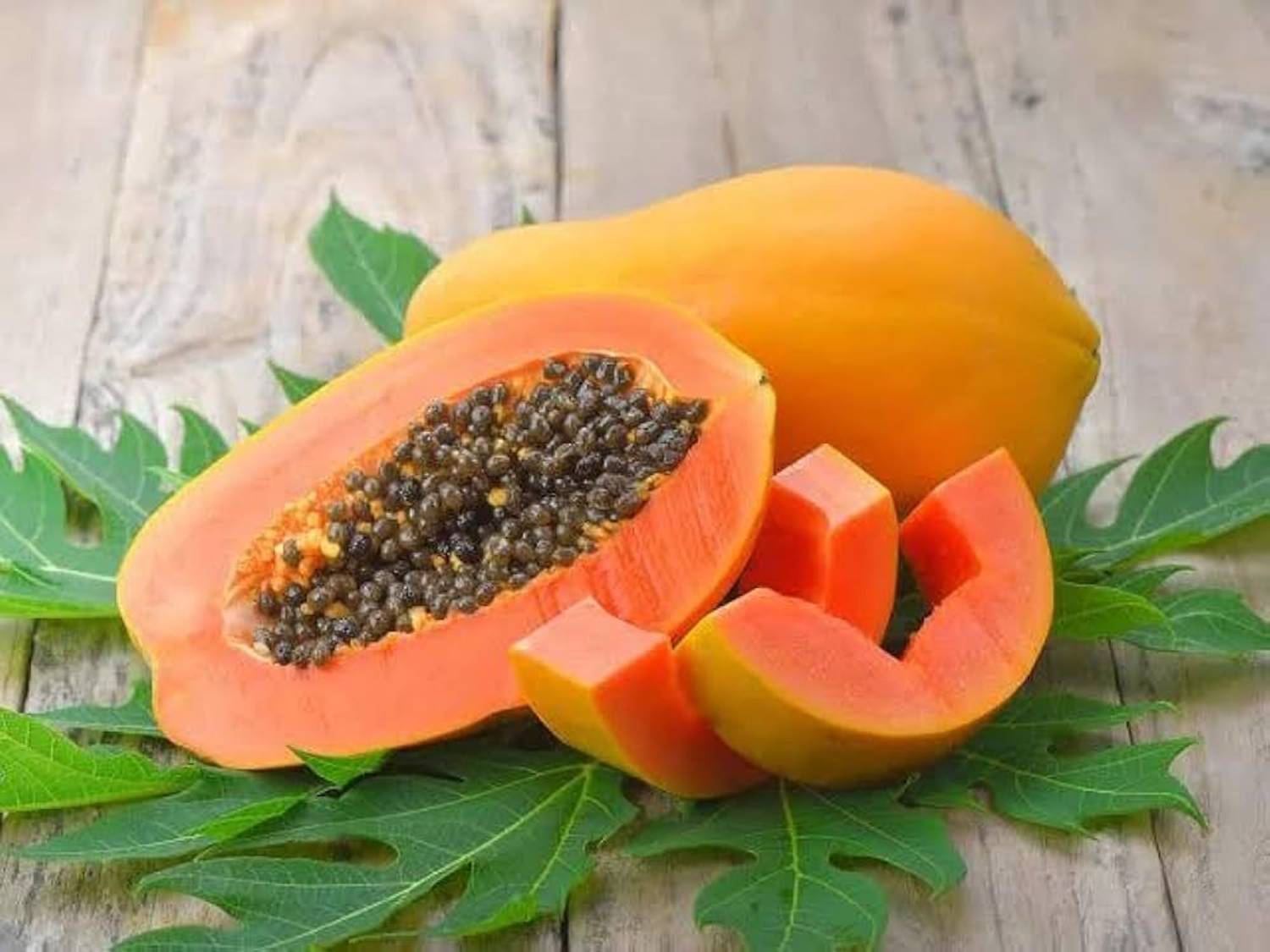 DEYS AGRO ™ f1 hybrid 33 pieces taiwan red lady 786 papaya seeds