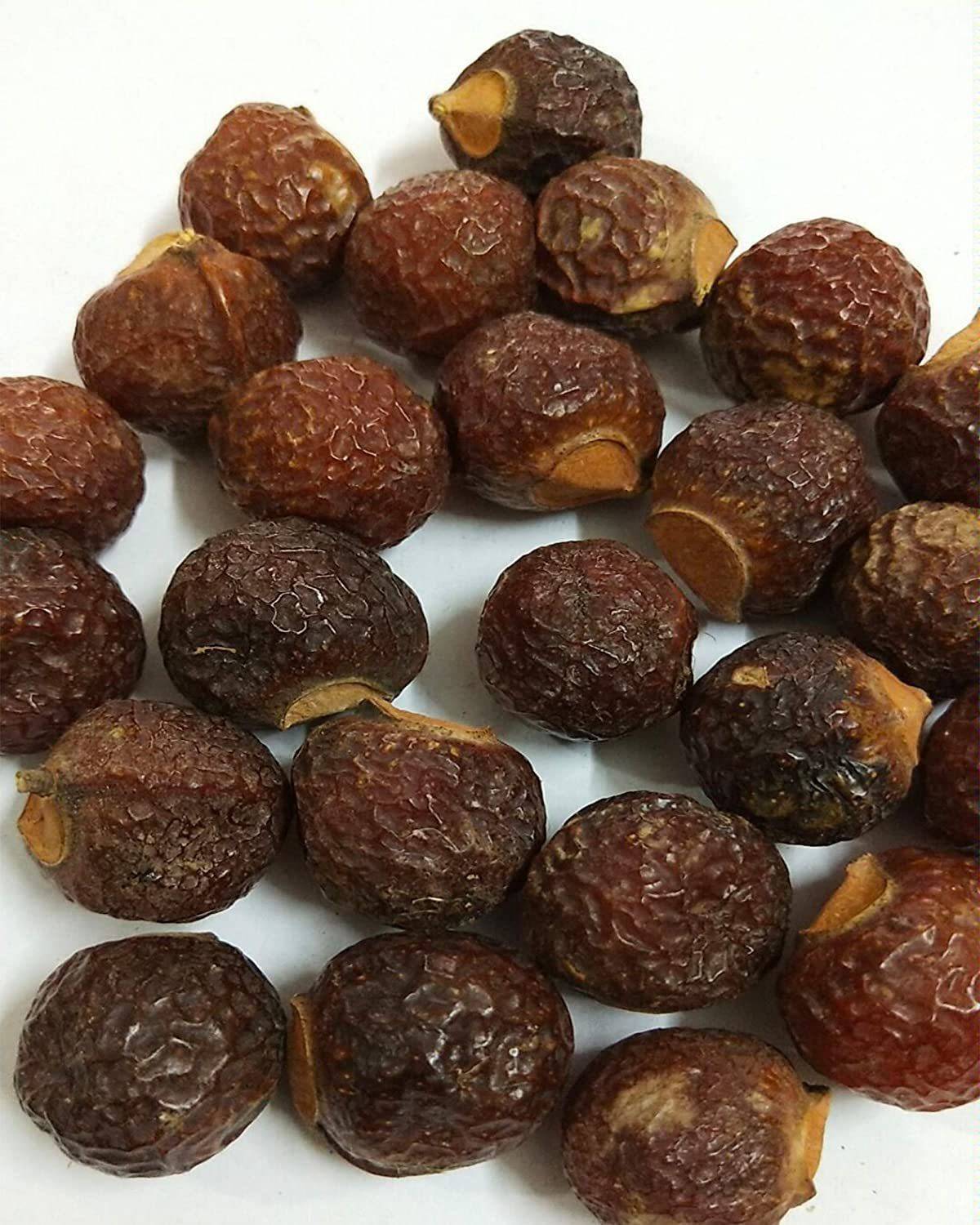 ANDARISTORE Boondi Kottai / Sapindus Mukorossi / Reetha Whole 100g Seed