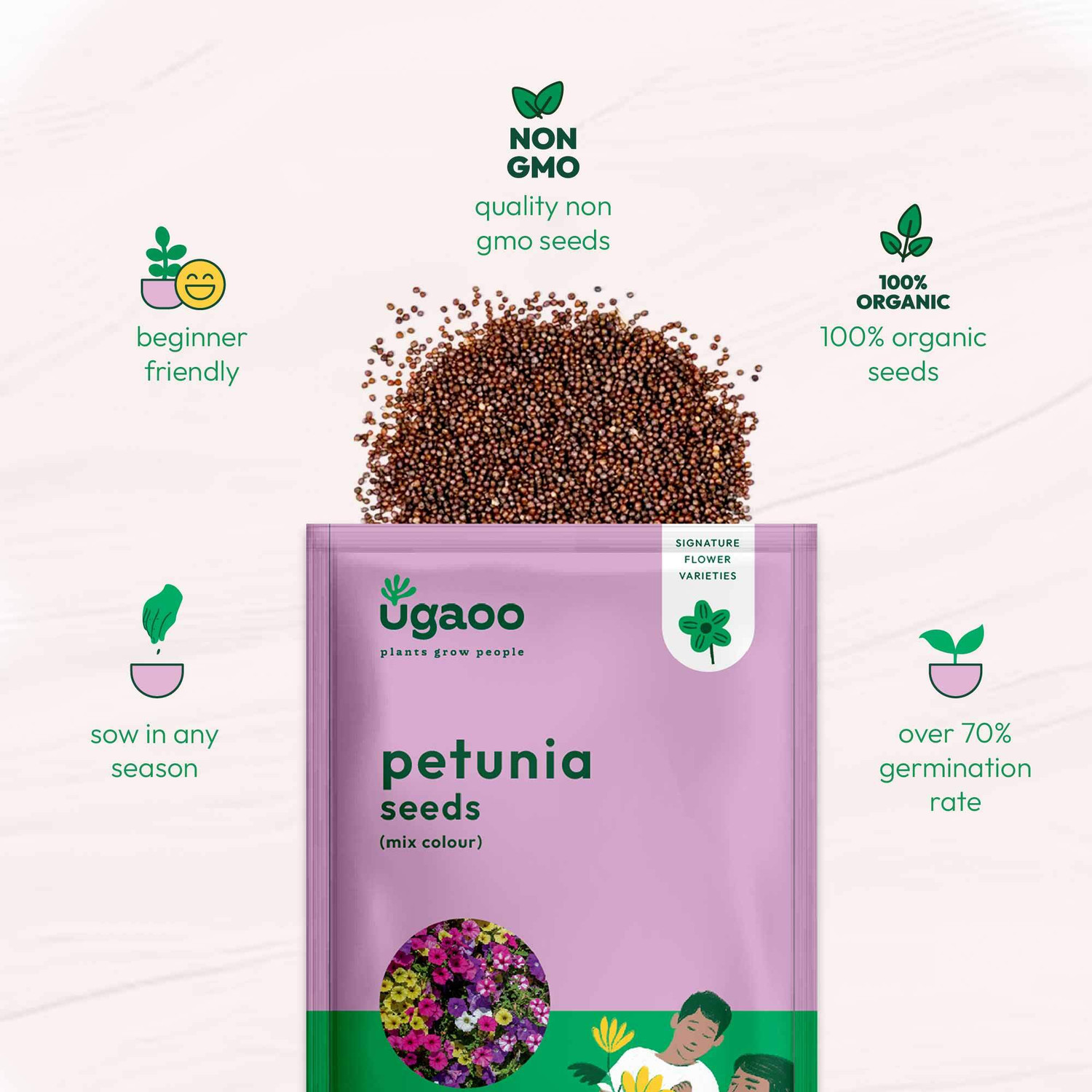 Image of UGAOO Petunia Mix Flower Seeds Seed
