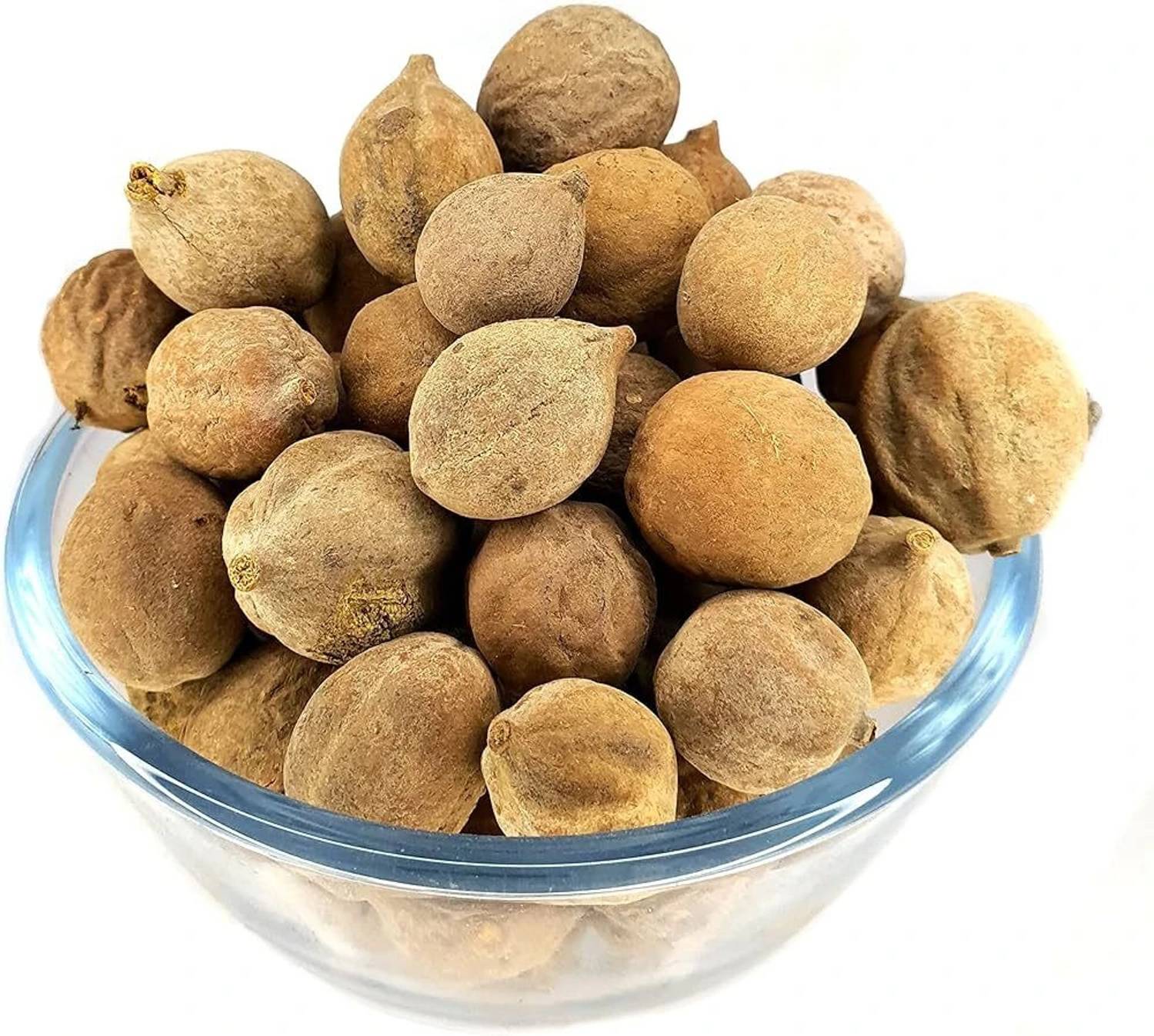 BHARAT JADI BOOTI Bahera (Bibhitaki) Whole – Natural Terminalia Bellirica - For Detox & Digestion Seed