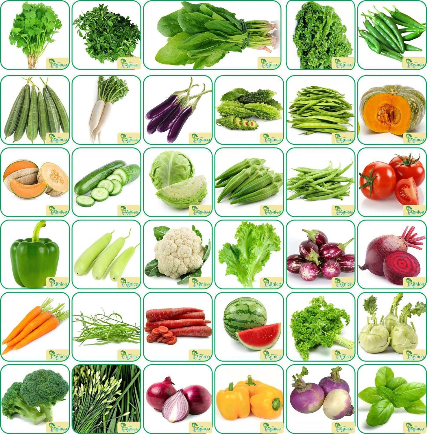 Agnico Agnico 35 Varieties of Vegetable Seeds 2100+ Germination Seeds For Your Garden With Instruction Manual Seed