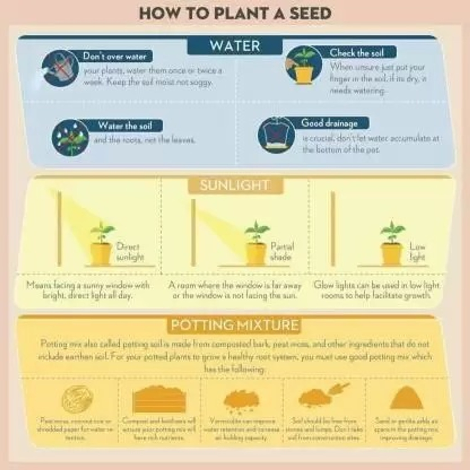 Image of Aero Seeds SDAero45 Seed