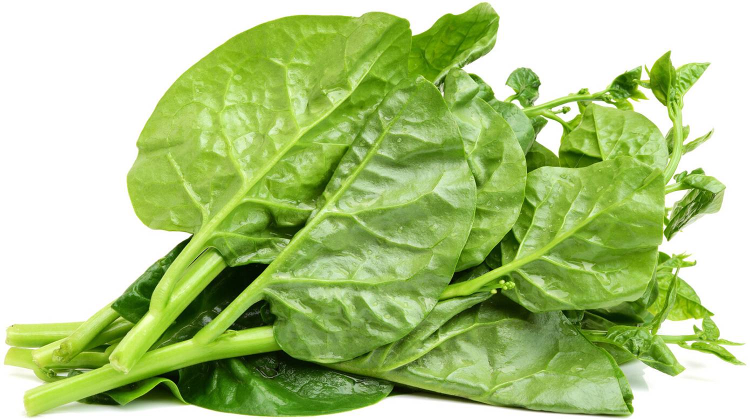 BISWAS Malabar Spinach, Poi Saag, Pui Saag Seed