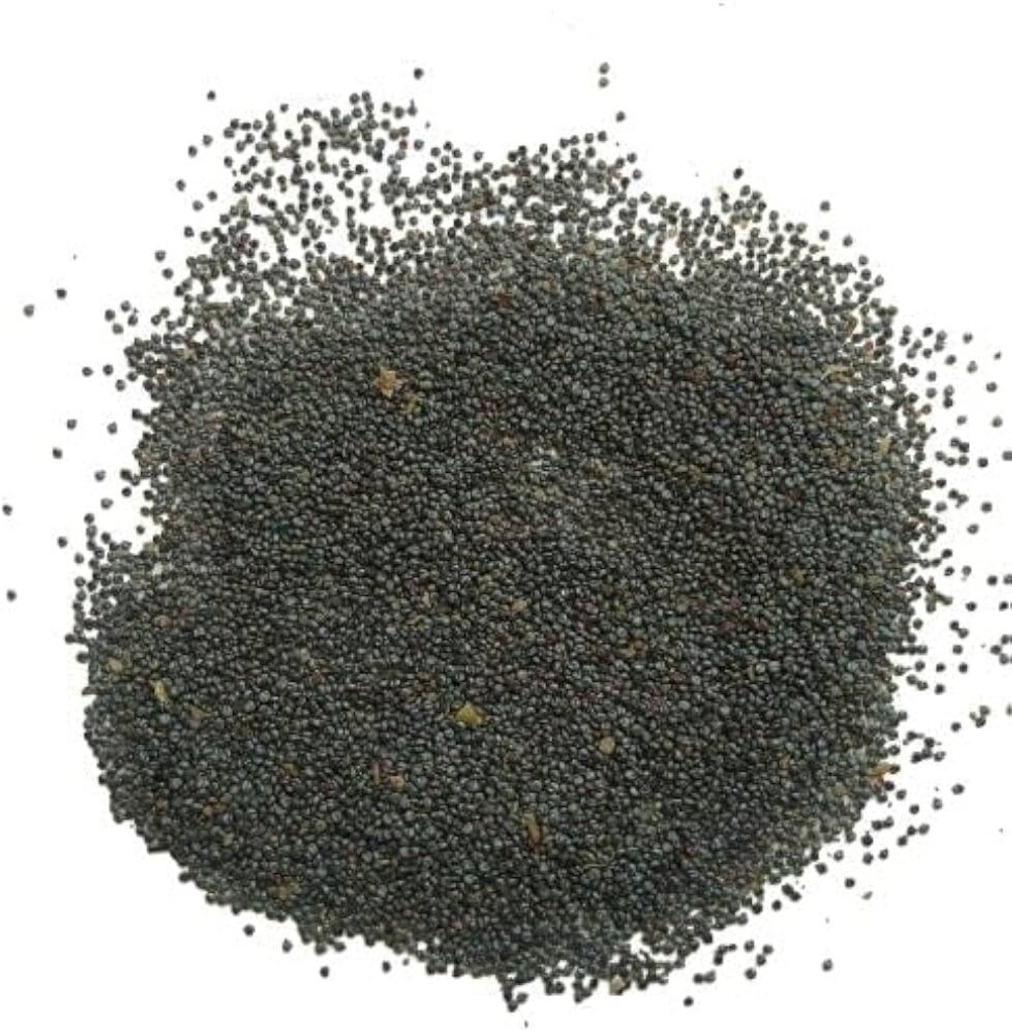 Image of AVRAJIT Portulaca,Moss Rose flower,9 o clock flower,Sun Rose seeds Seed