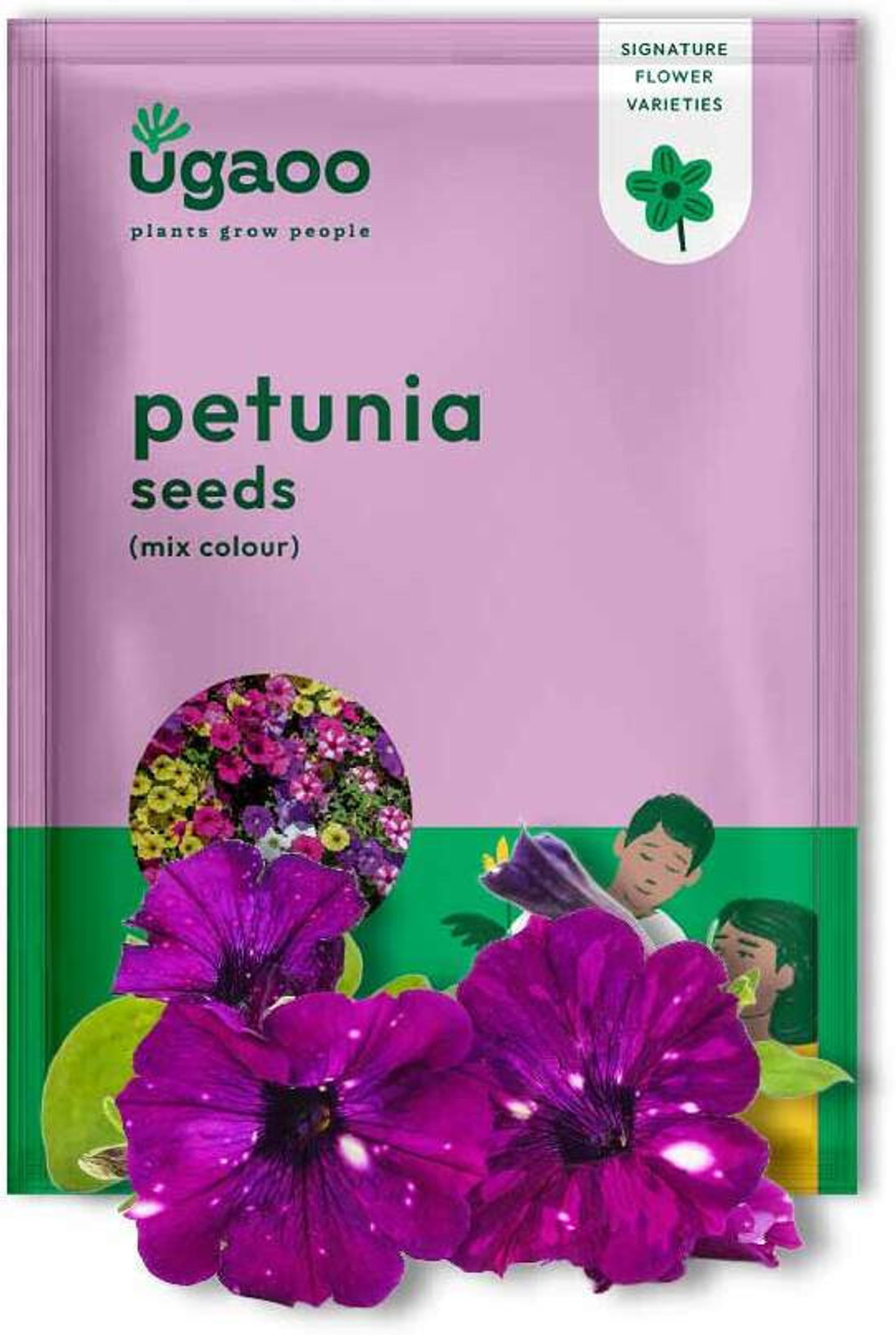 Image of UGAOO Petunia Mix Flower Seeds Seed