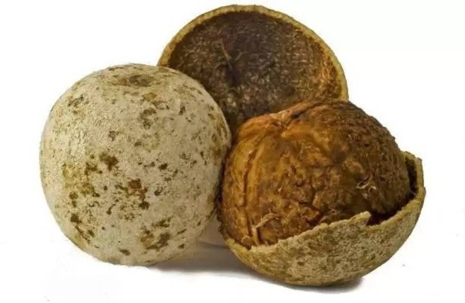 kaitha fruit image