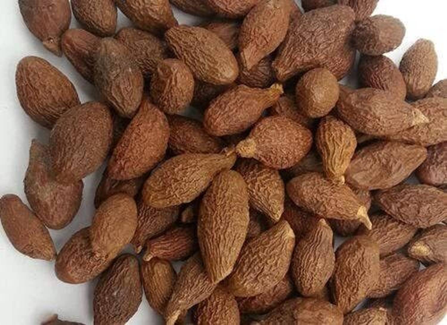 ARGOO Niranjan Phal 10g | 100% Natural Malva Nuts | Supports Digestion Seed