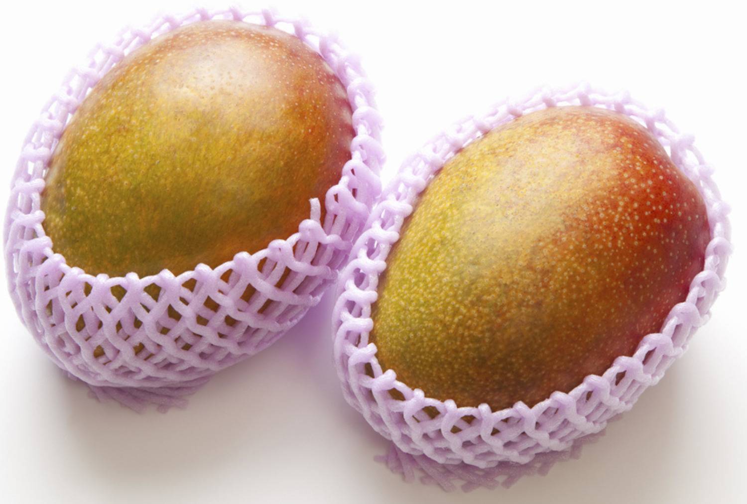 みやもん N.G.M. AGROCARE Grafted Original Genetic Japanese Miyazaki Mango