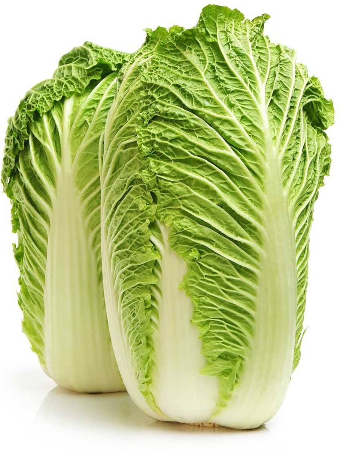 Aywal High Germination Chinese Cabbage Seed