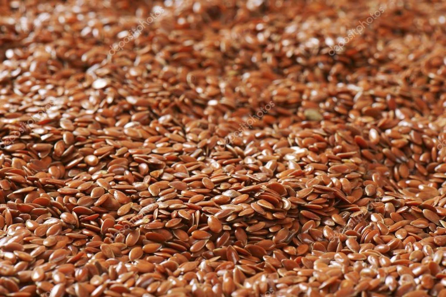 ANDARISTORE Flax Seeds - Alsi Seeds | Flax Seeds for Hair Growth | Diet Food Seed