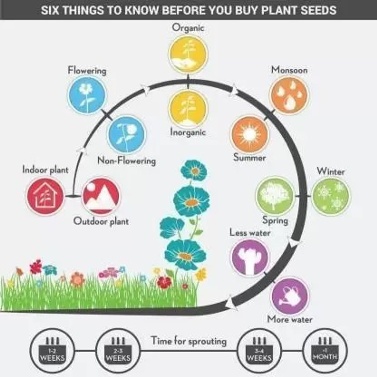 Image of Aero Seeds 40 Varieties of Flower Combo Pack Seed