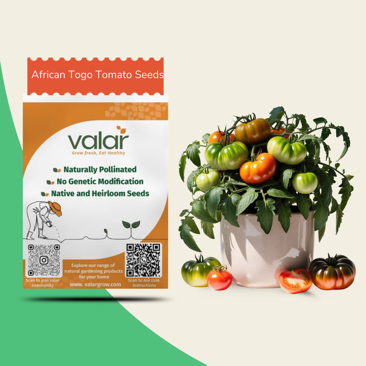 VALAR African Togo Tomato Seeds| Open Pollinated Non-GMO Seeds