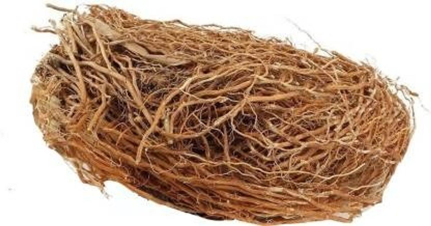 ANDARISTORE KHAS ROOT- KHUS JAD - USHIRA - VETIVER ROOTS Seed