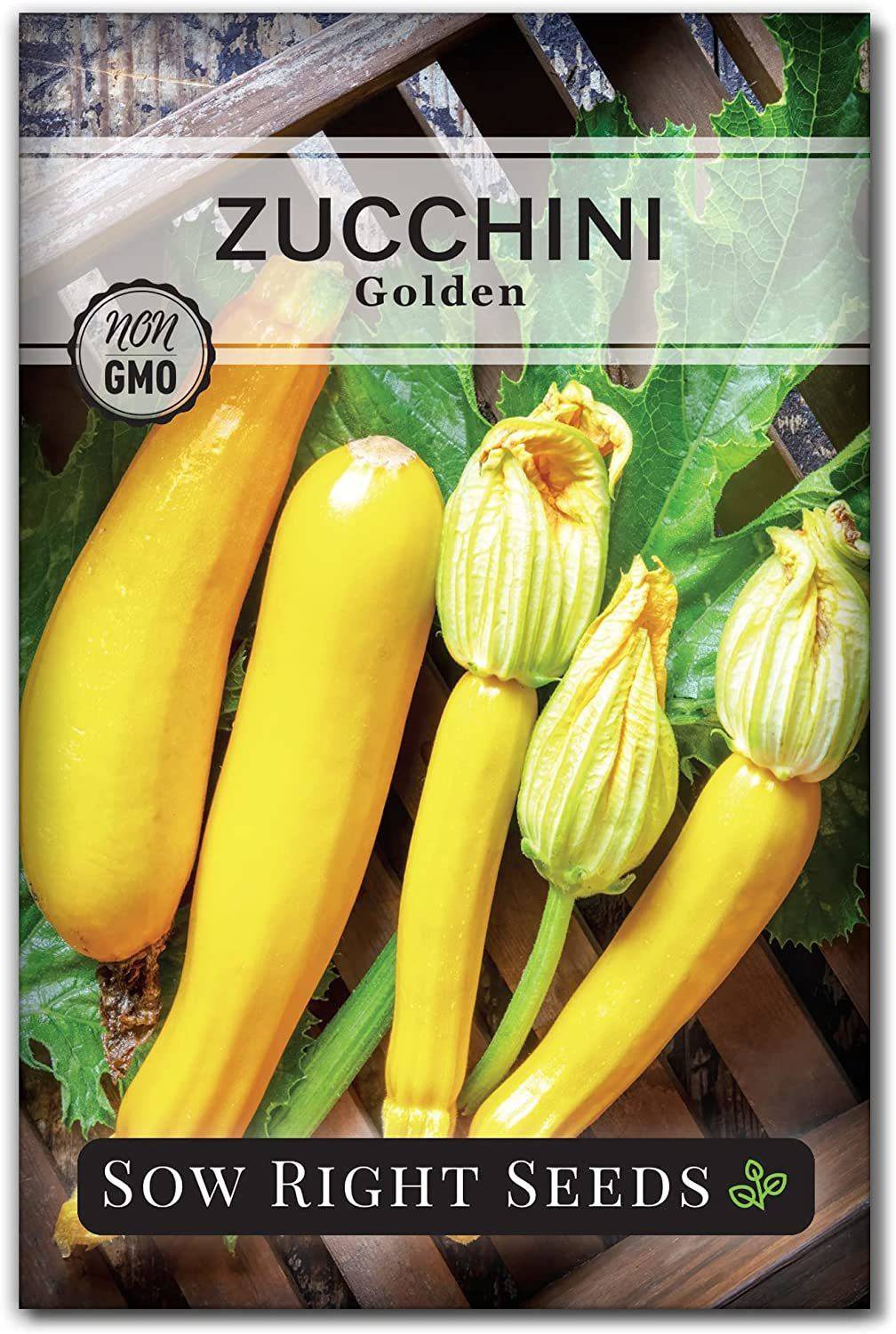 CYBEXIS PAU-45 - Golden Zucchini - (225 Seeds) Seed Price in India