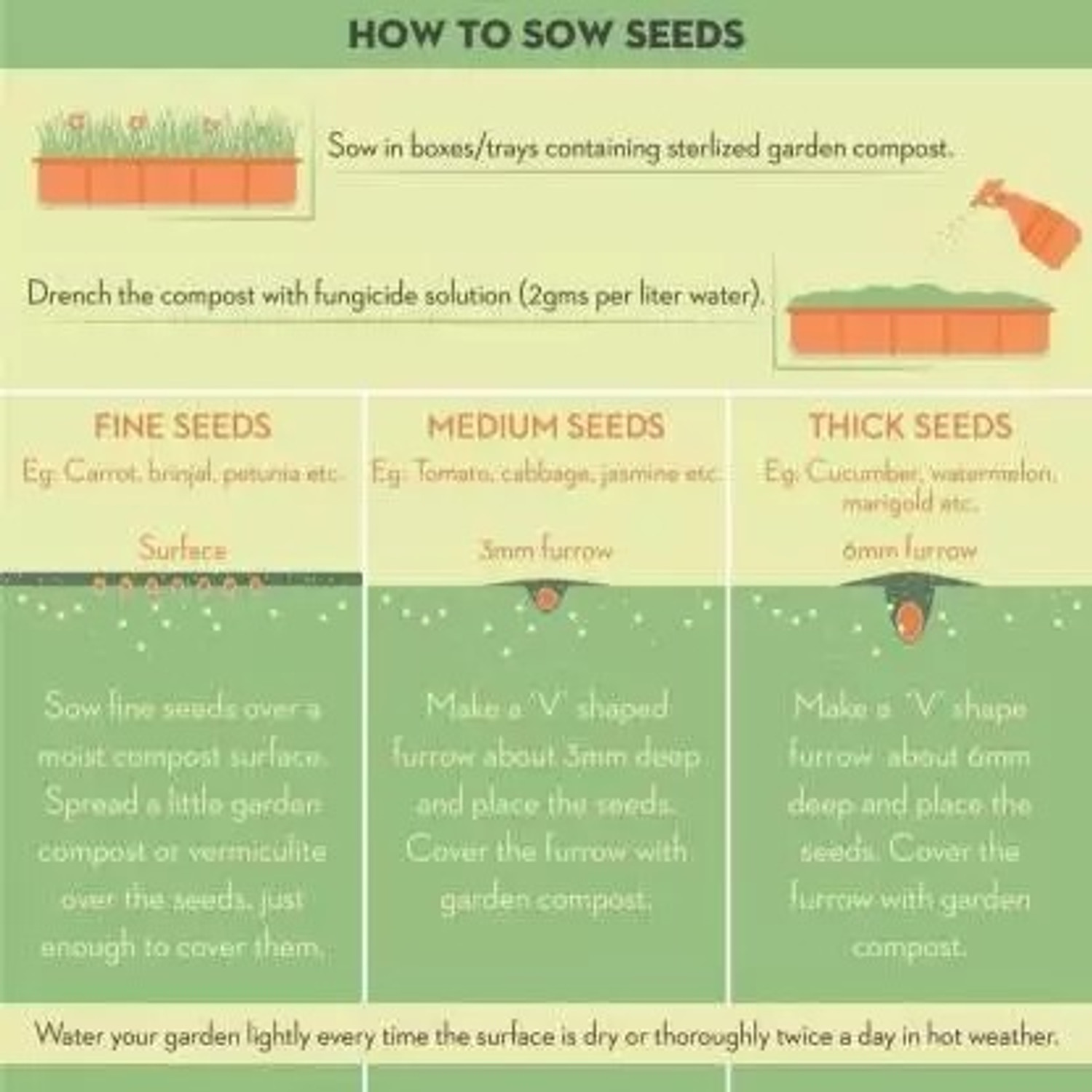 Image of Aero Seeds SDAero45 Seed
