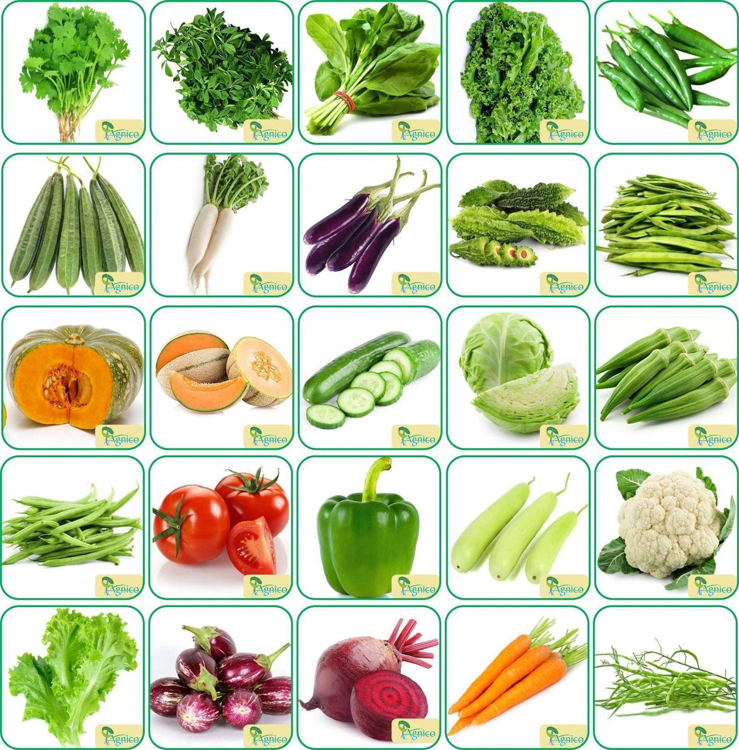 Agnico Agnico 25 Varieties of Vegetable 1700+ Seeds For Your Garden Beautiful Bloom High Germination Seeds with Instruction Manual Seed