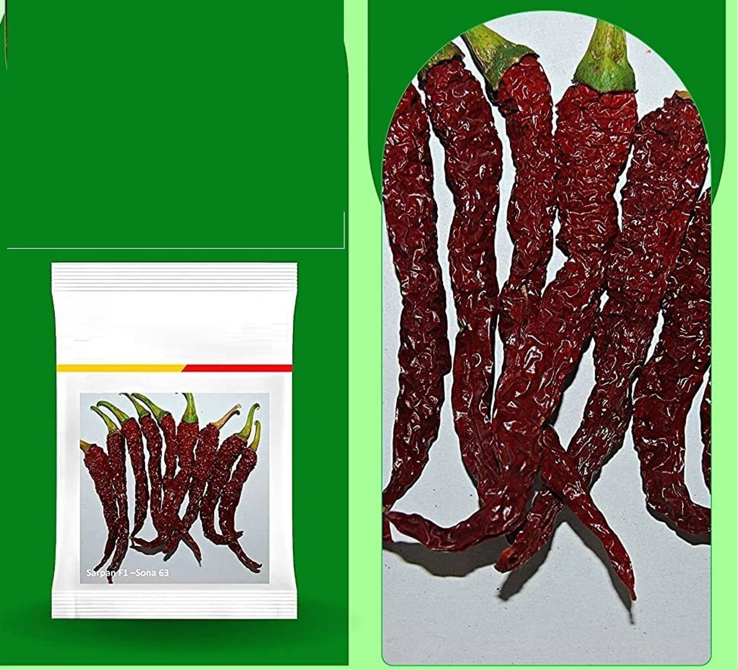 WILLVINE VMR -III Dabbi byadgi chilli | Sona-63 Chilli seeds | Red