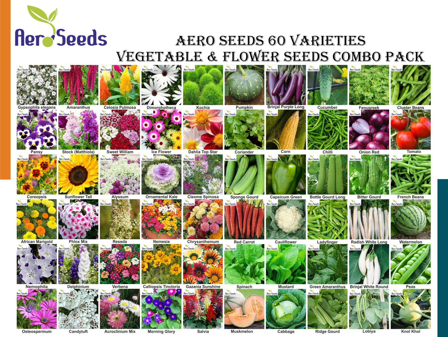 Aero Seeds 60 varieties seeds combo pack with instruction manual. Seed