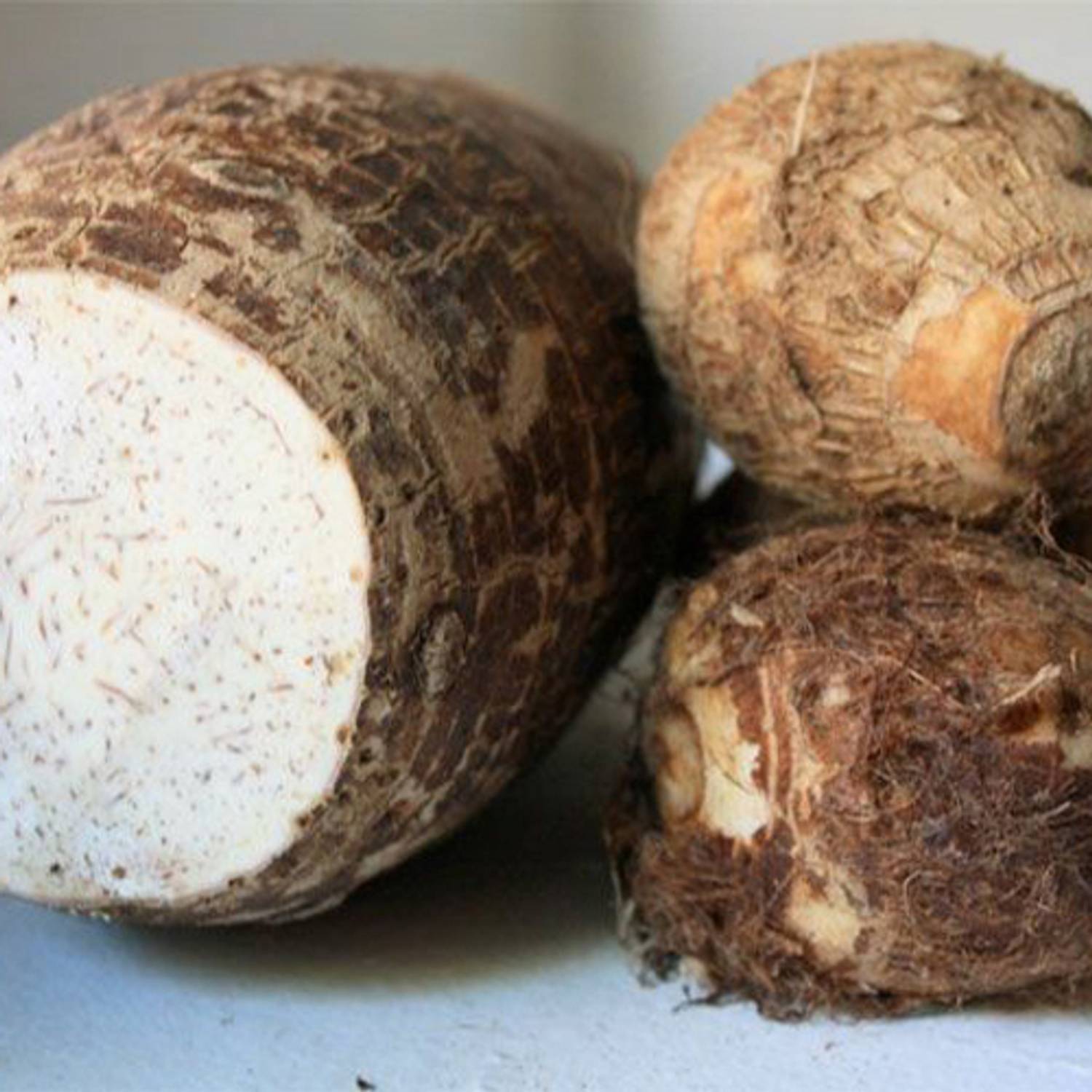 ビルダー太郎 SREE Taro Root,Kachu Seed Price in India - Buy SREE Taro Root