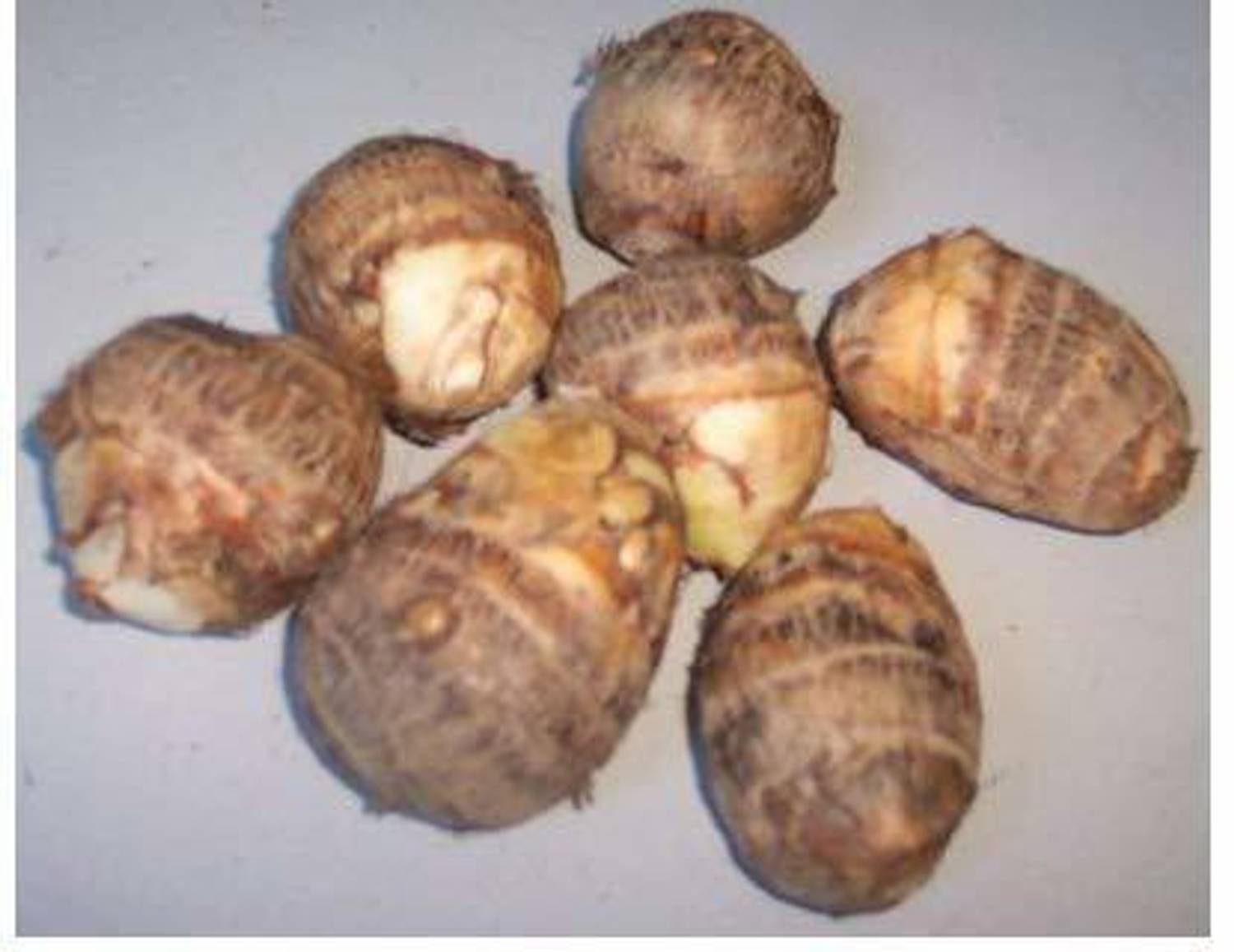 6-taro-root-arbi-dasheen-
