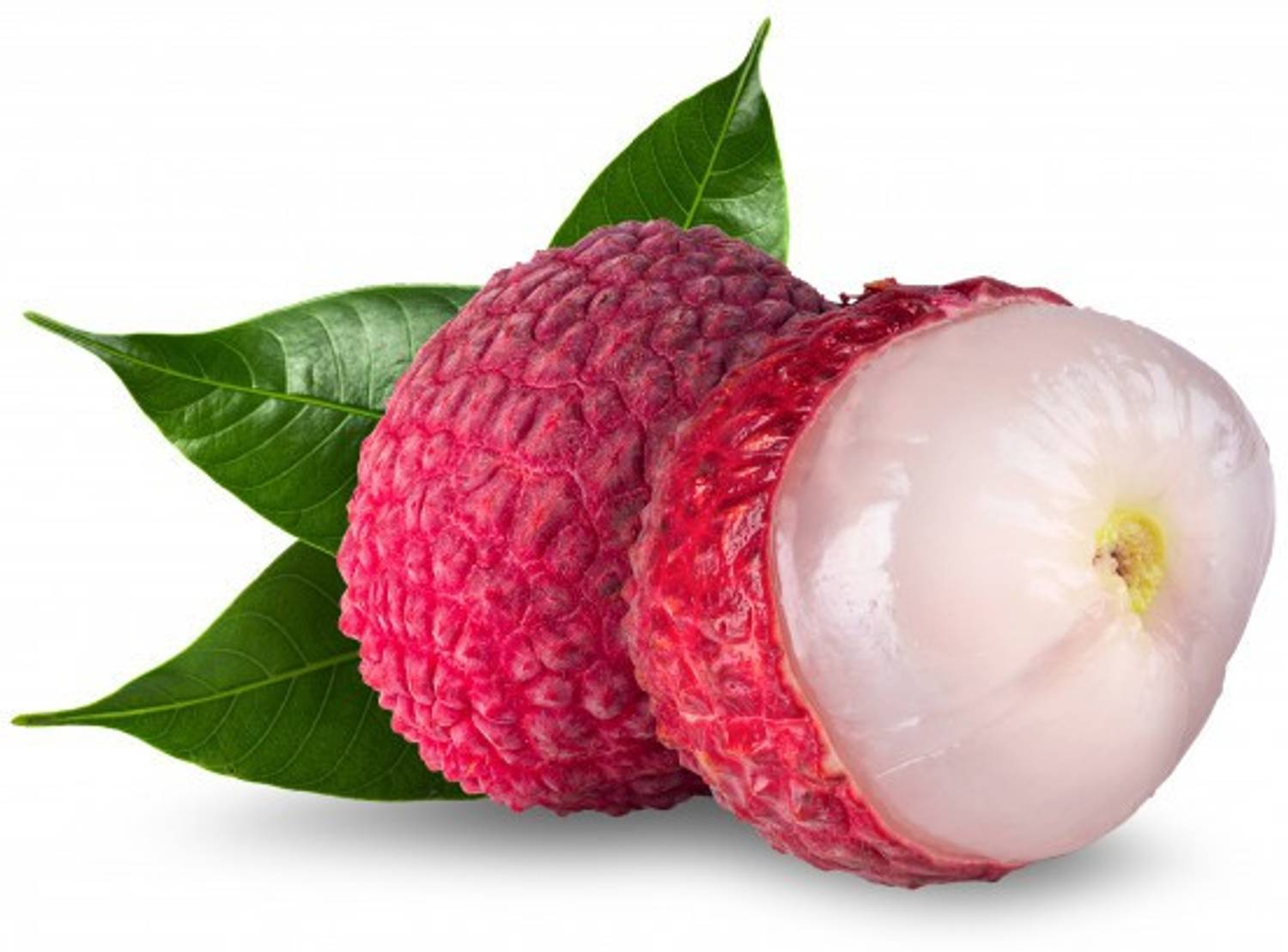 CARIBBEAN PREMIUM HYBRID LITCHI FRUIT (LYCHEE) Seed